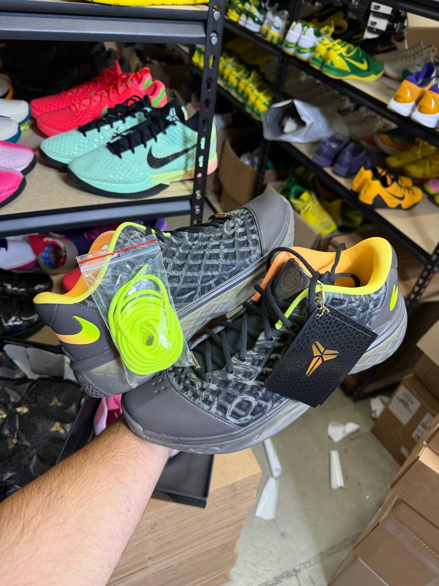Kobe 3 Eybl (13)