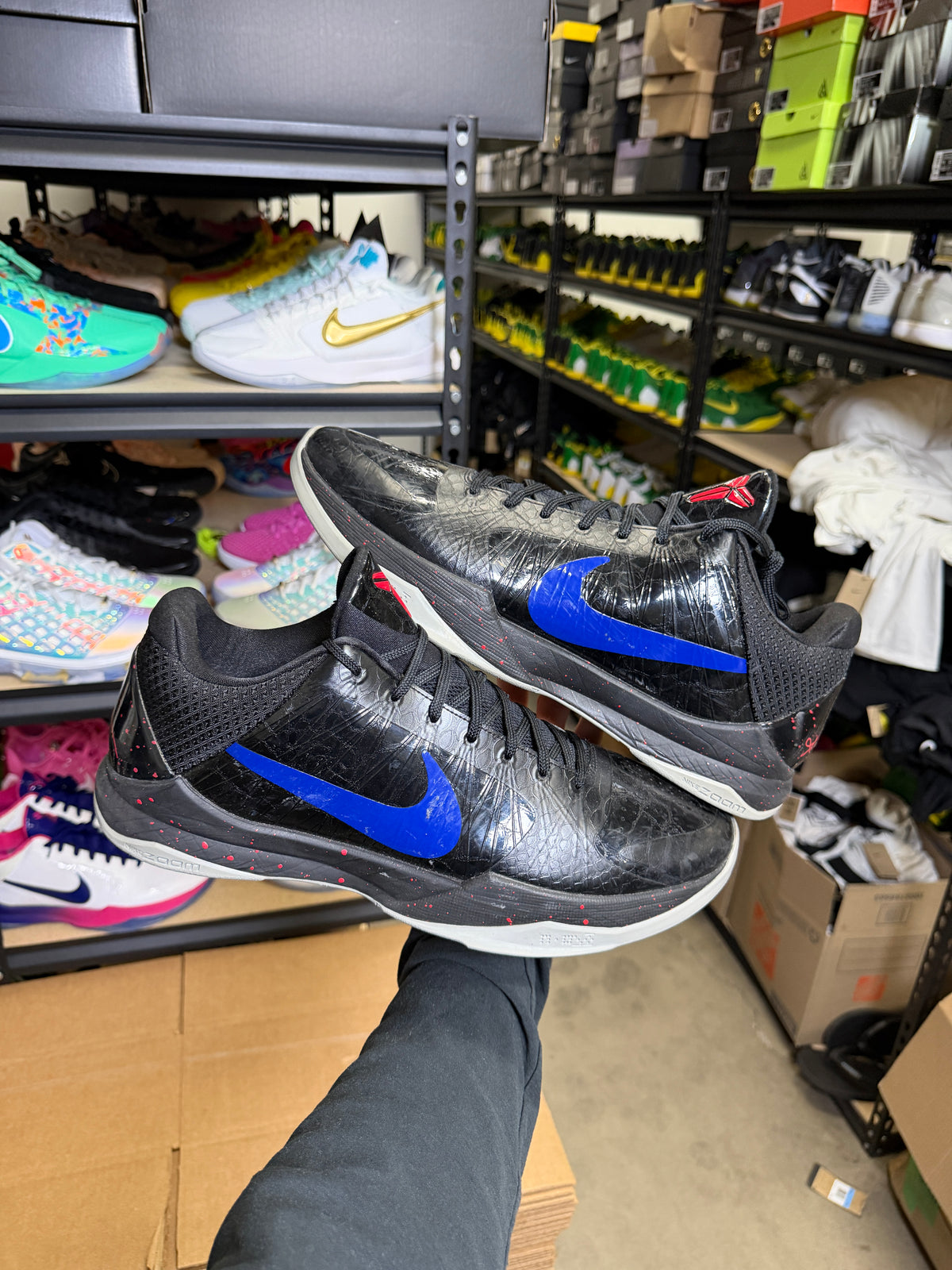 Kobe 5 Tobias Harris PE (15)