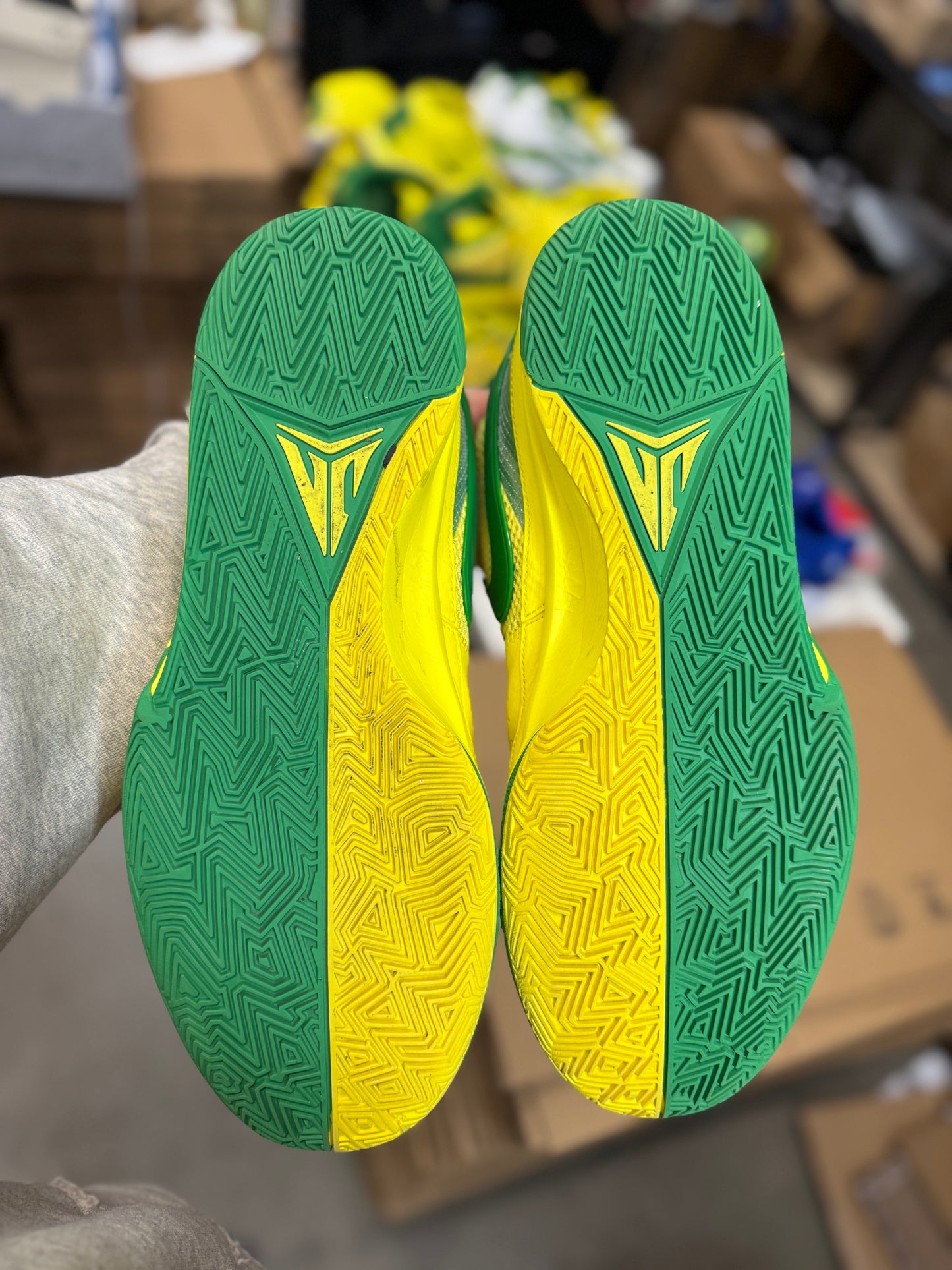Ja Oregon PE (15)