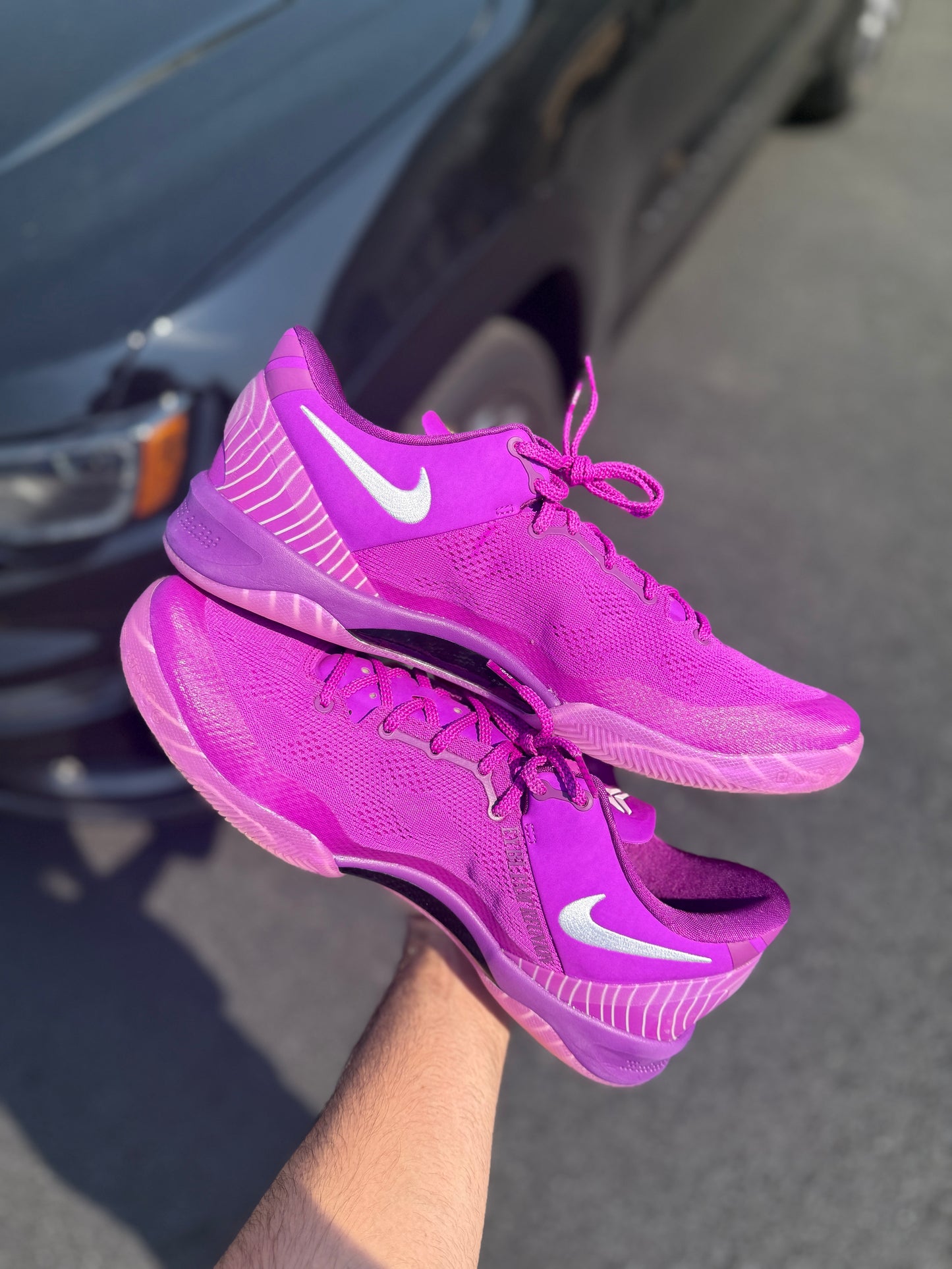 Eybl 8 (size 14)
