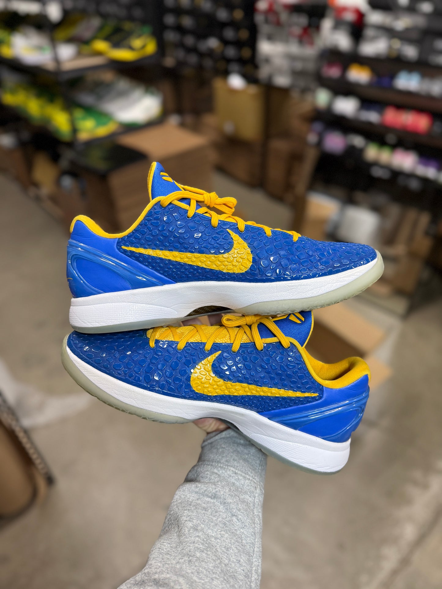 Kobe 6 Trevor Ariza PE (13.5)