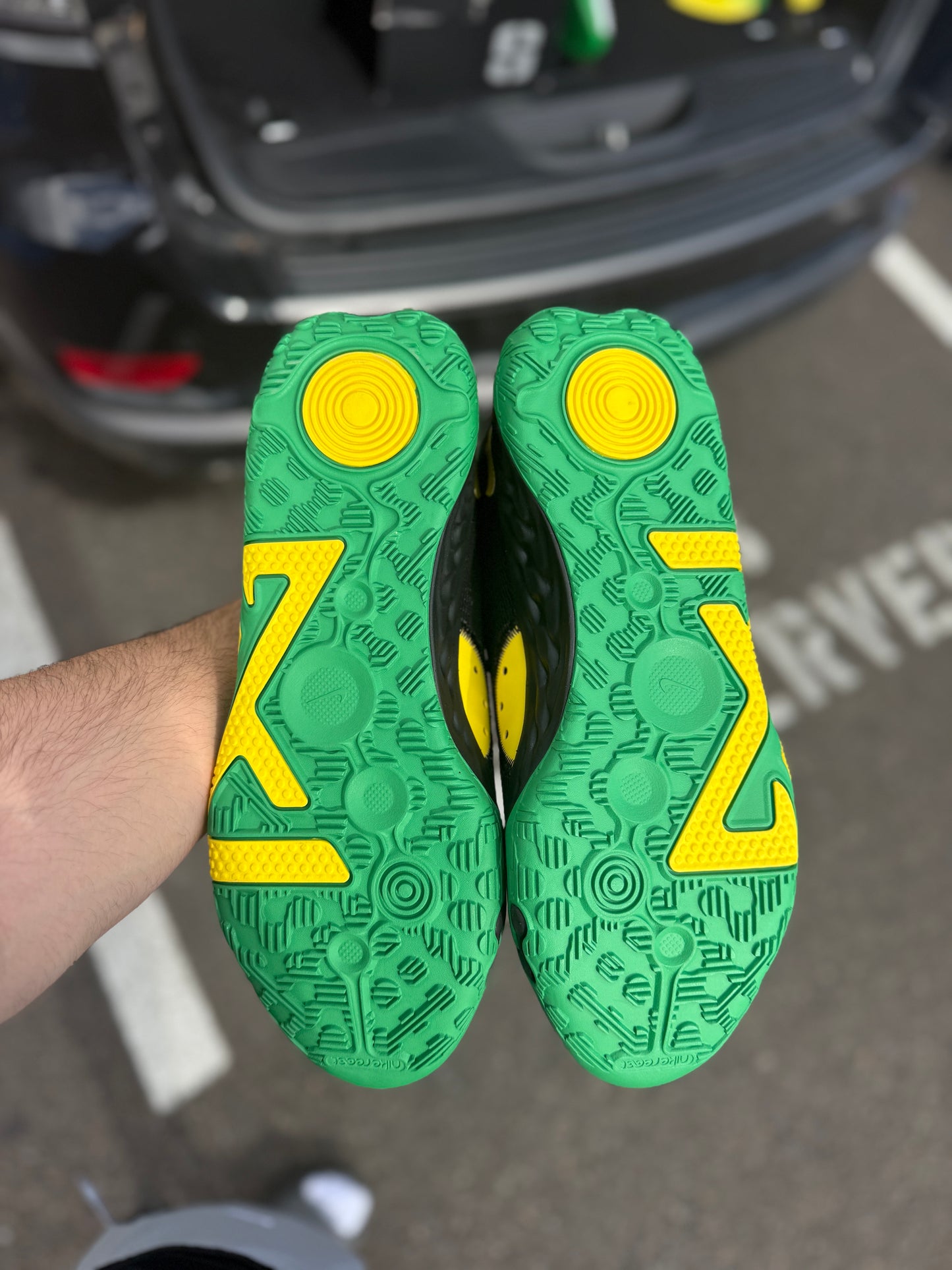 PG Oregon PE