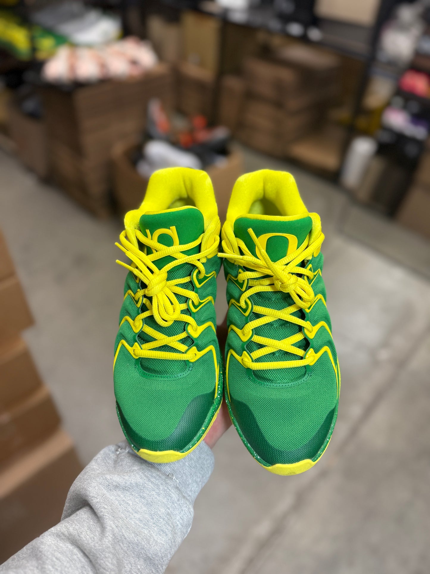 Kd17 Oregon PE (7.5)