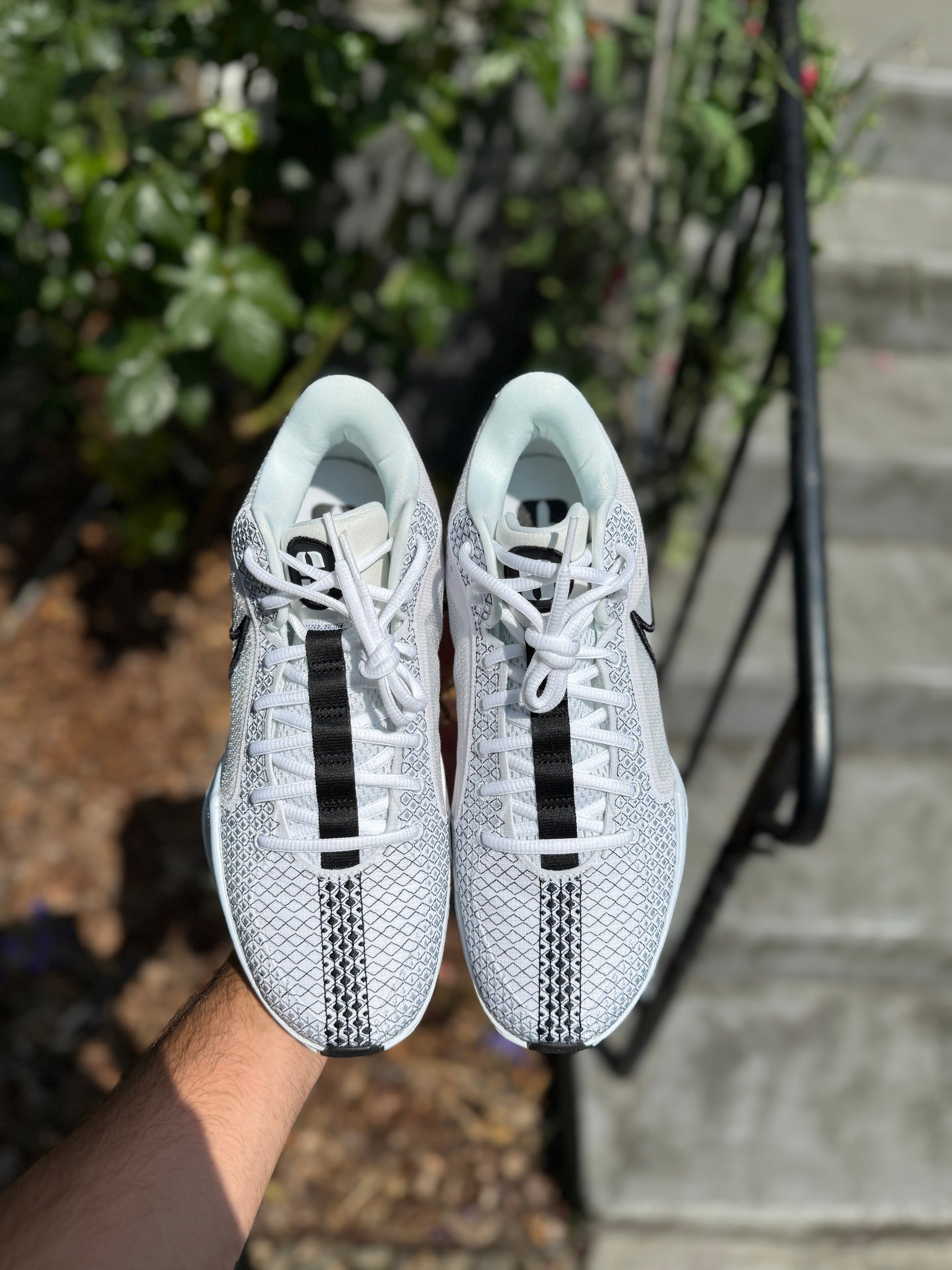 Sabrina Promo (size 10.5)