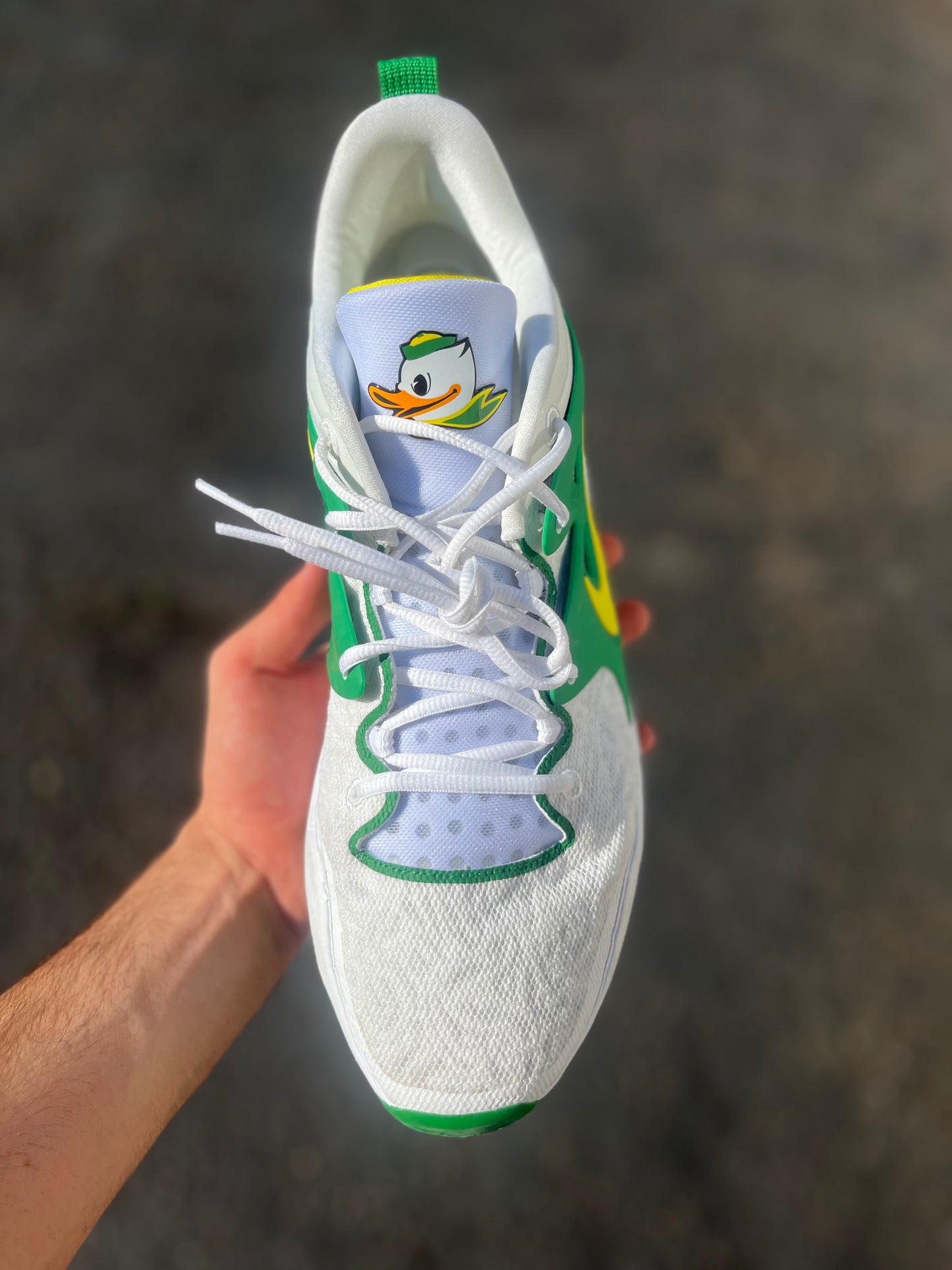 Oregon PE (size 15)