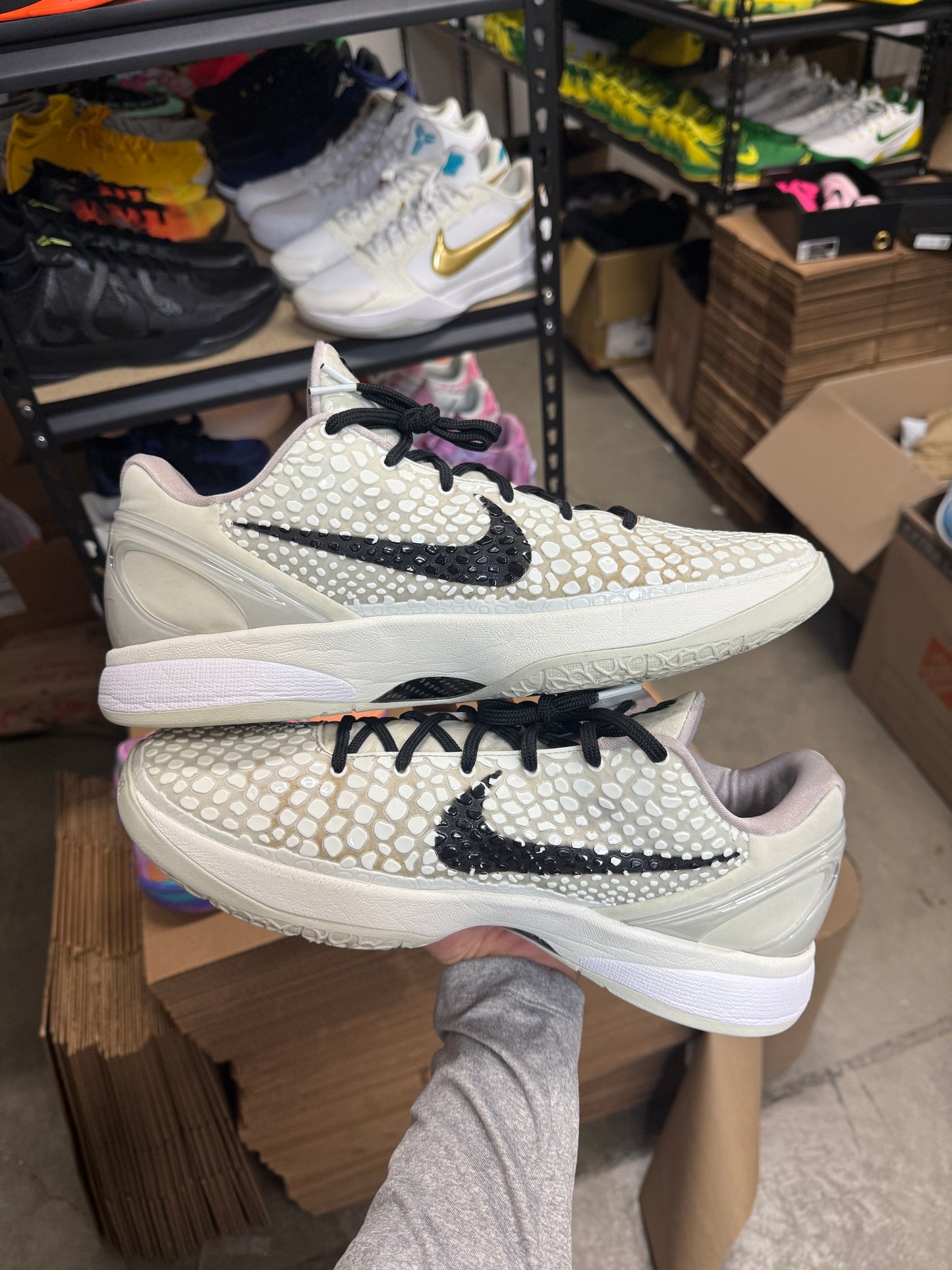 Kobe 6 Allstar (13.5)