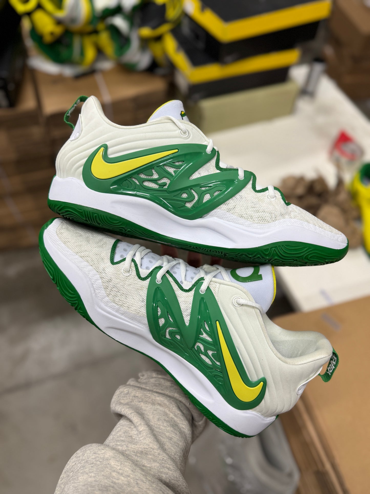 Kd15 Oregon PE (size 16)