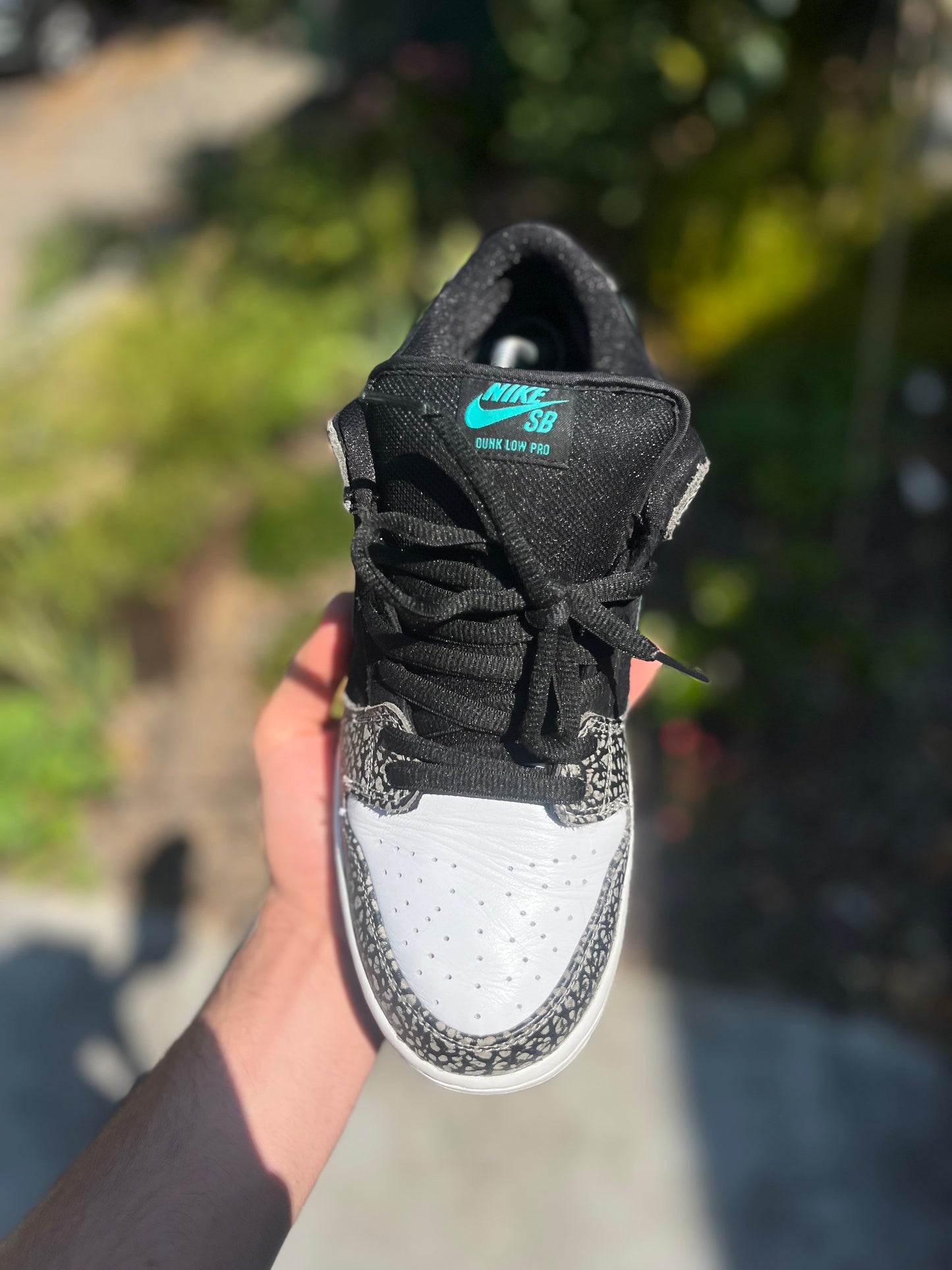 Atmos elephant dunks (size 11)