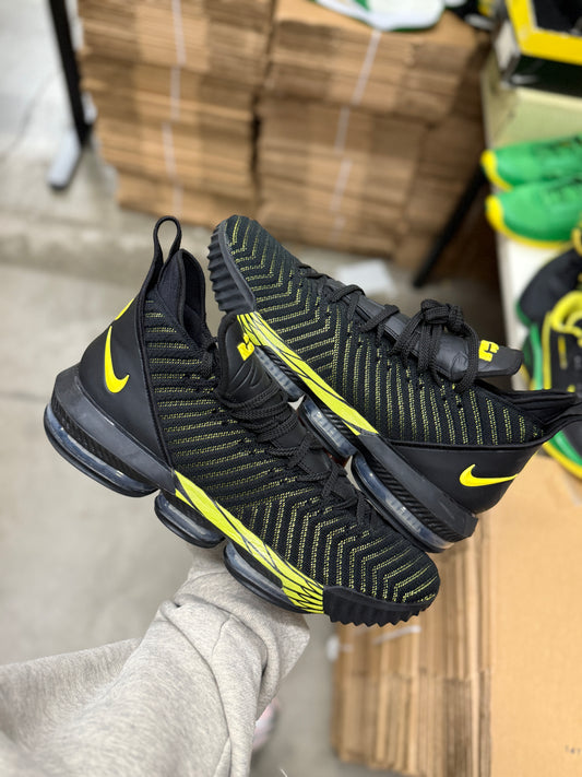 LeBron Oregon PE (size 15)