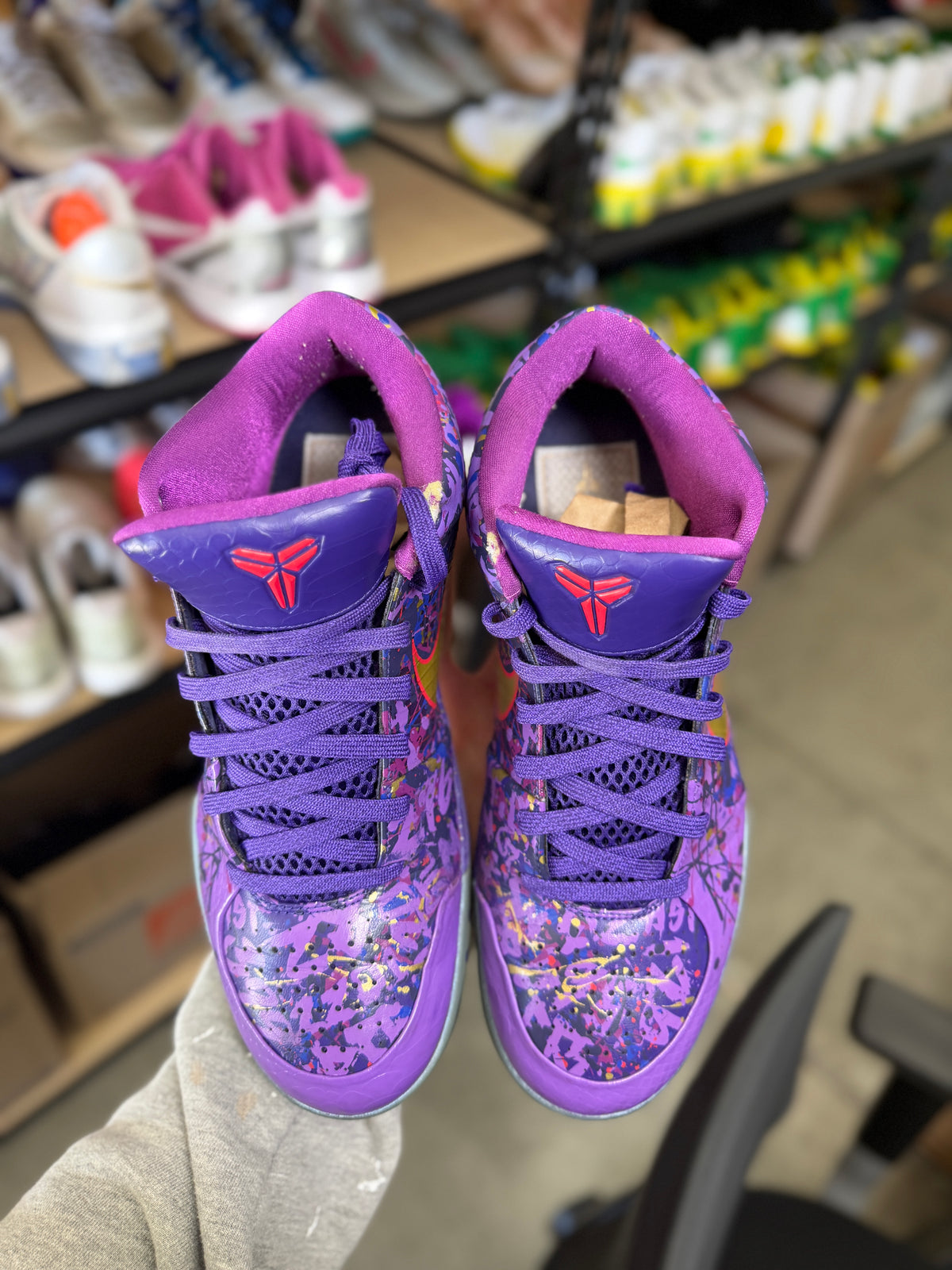 Kobe 4 Prelude (11.5)