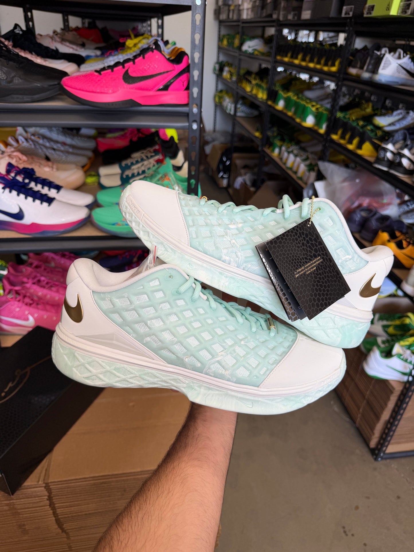 Kobe 3 CHBL (14)