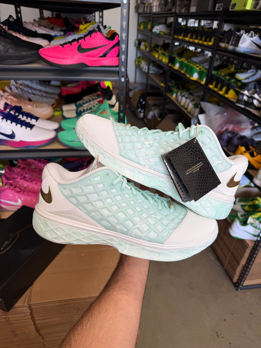 Kobe 3 CHBL (14)