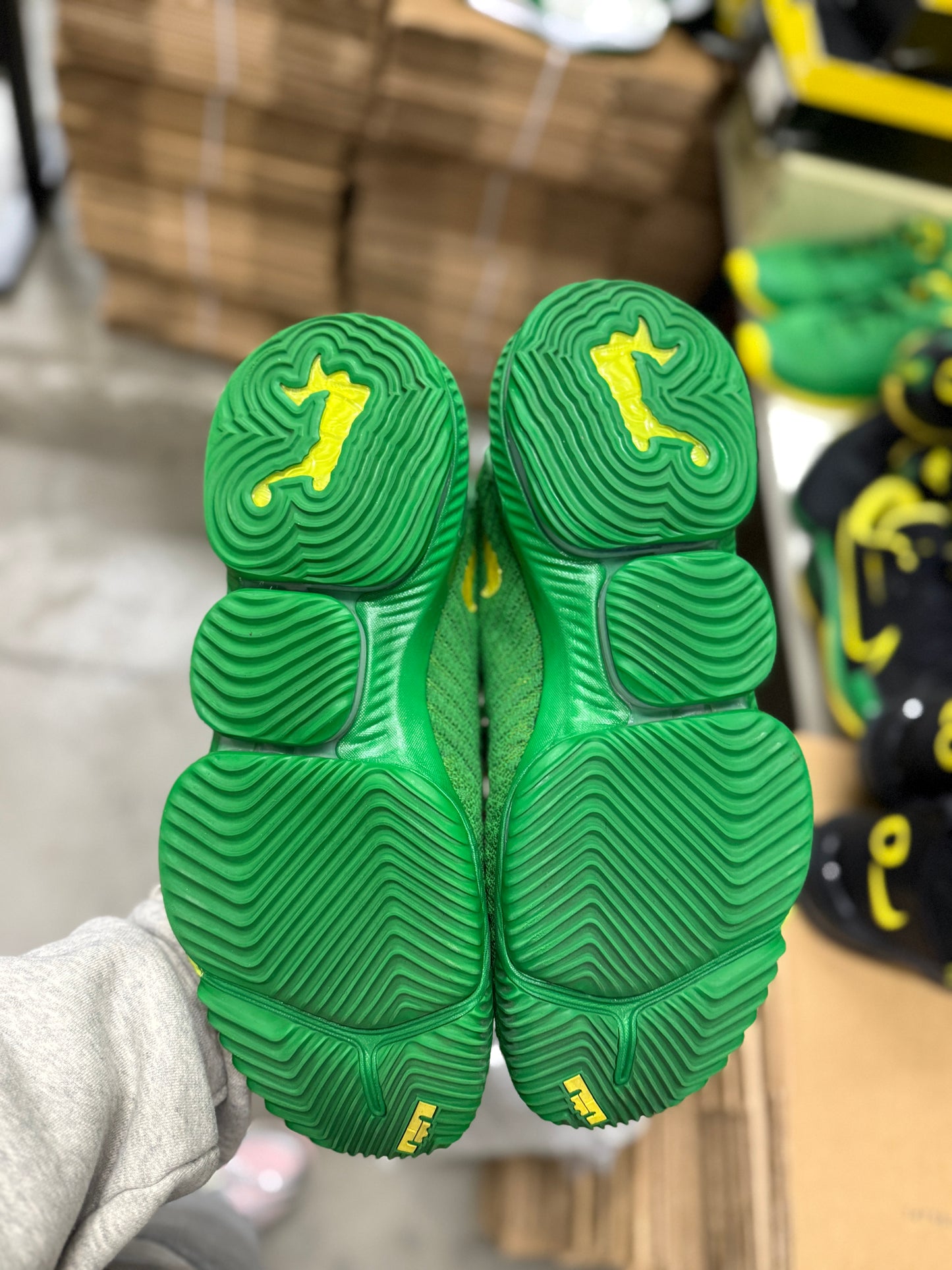 LeBron Oregon PE (size 15)