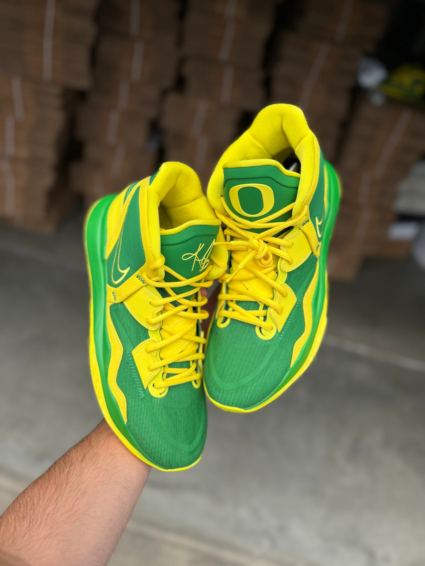 Kyrie Oregon PE (size 13)