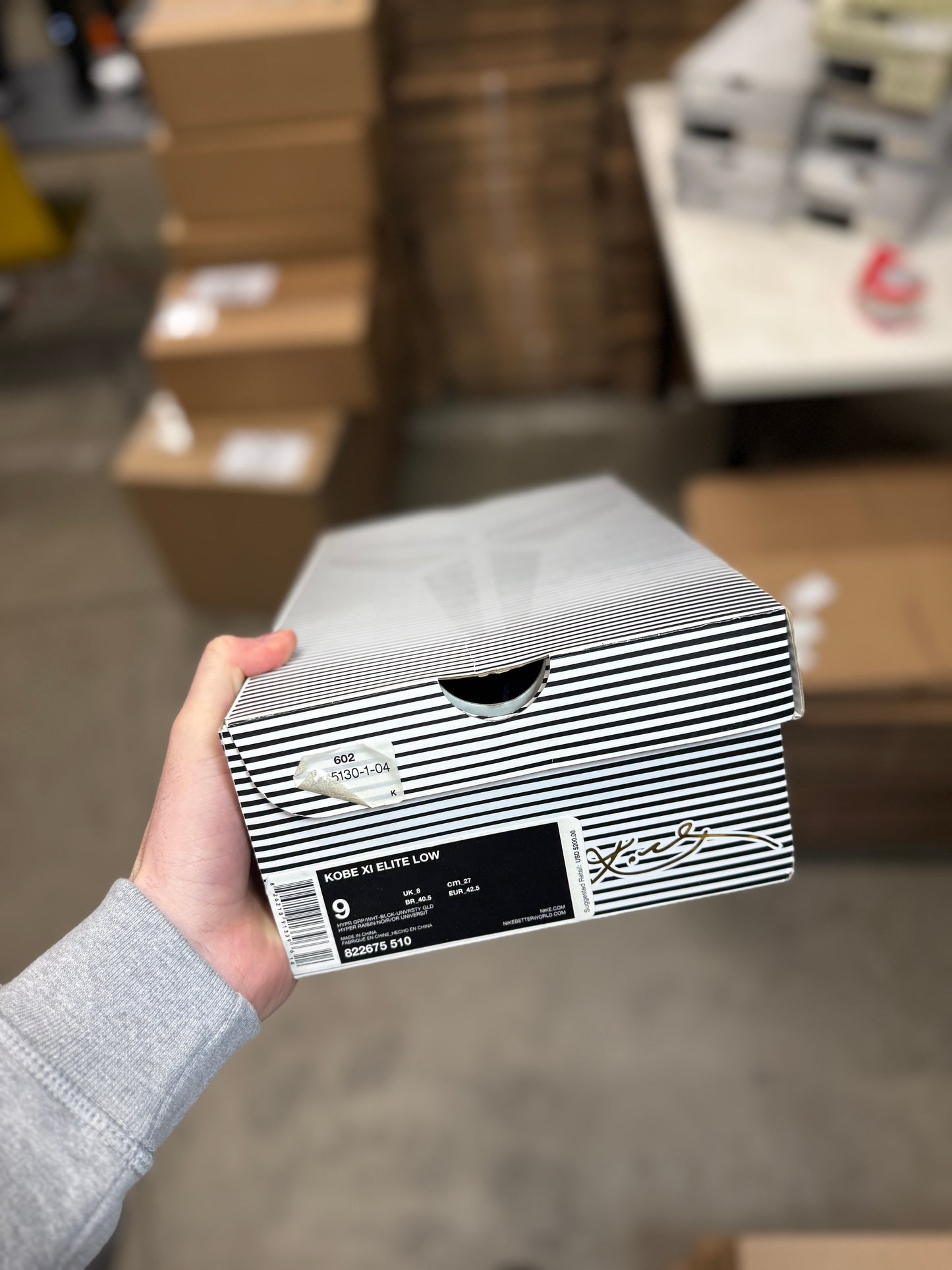 Kobe 11 Hyper Grape (9)