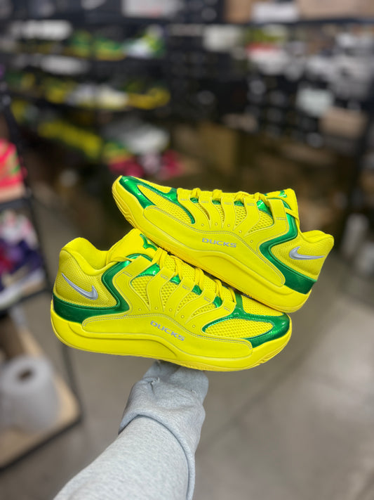 Kd18 Oregon PE (13)