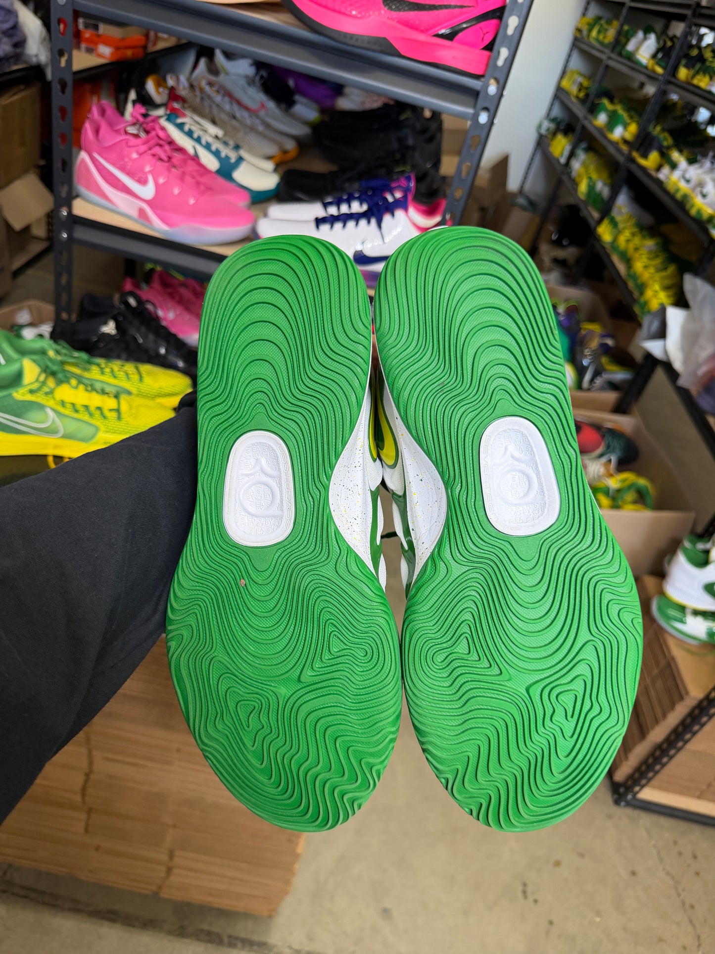 Kd17 Oregon PE (16)