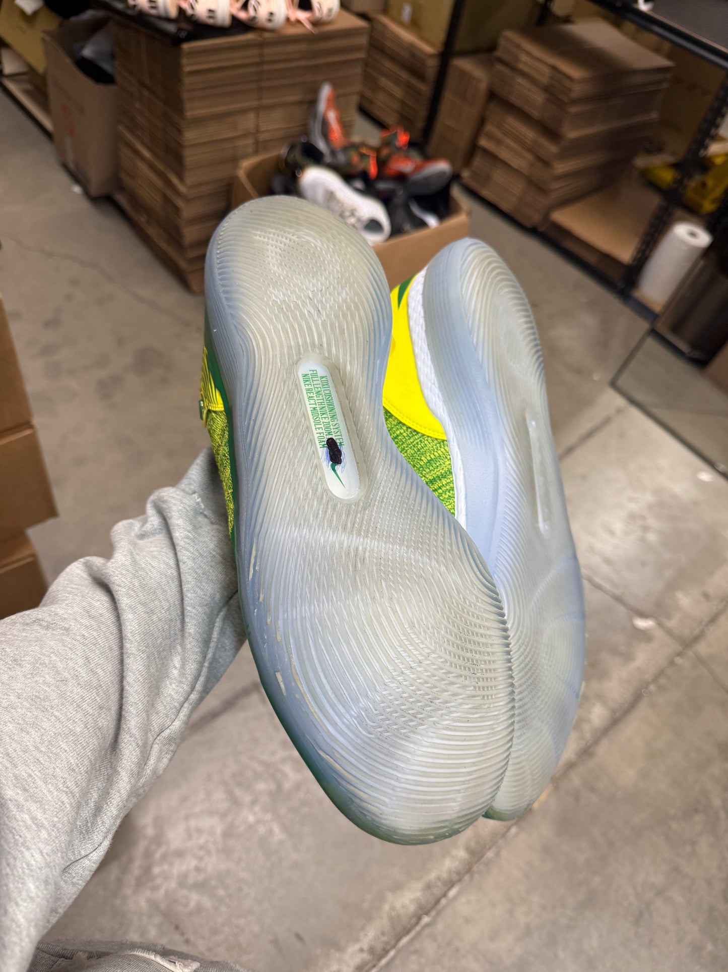 Kd11 Oregon PE (15)