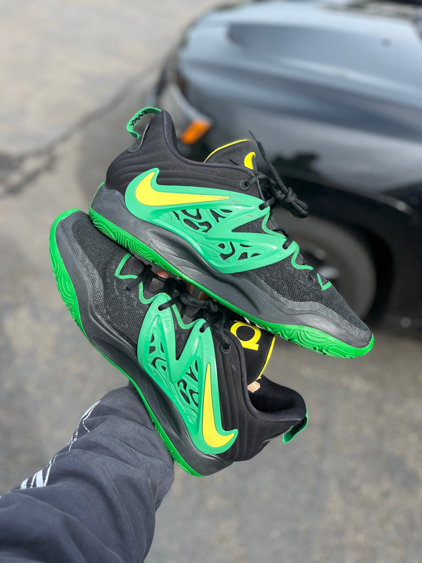 Kd15 Oregon PE (size 15)