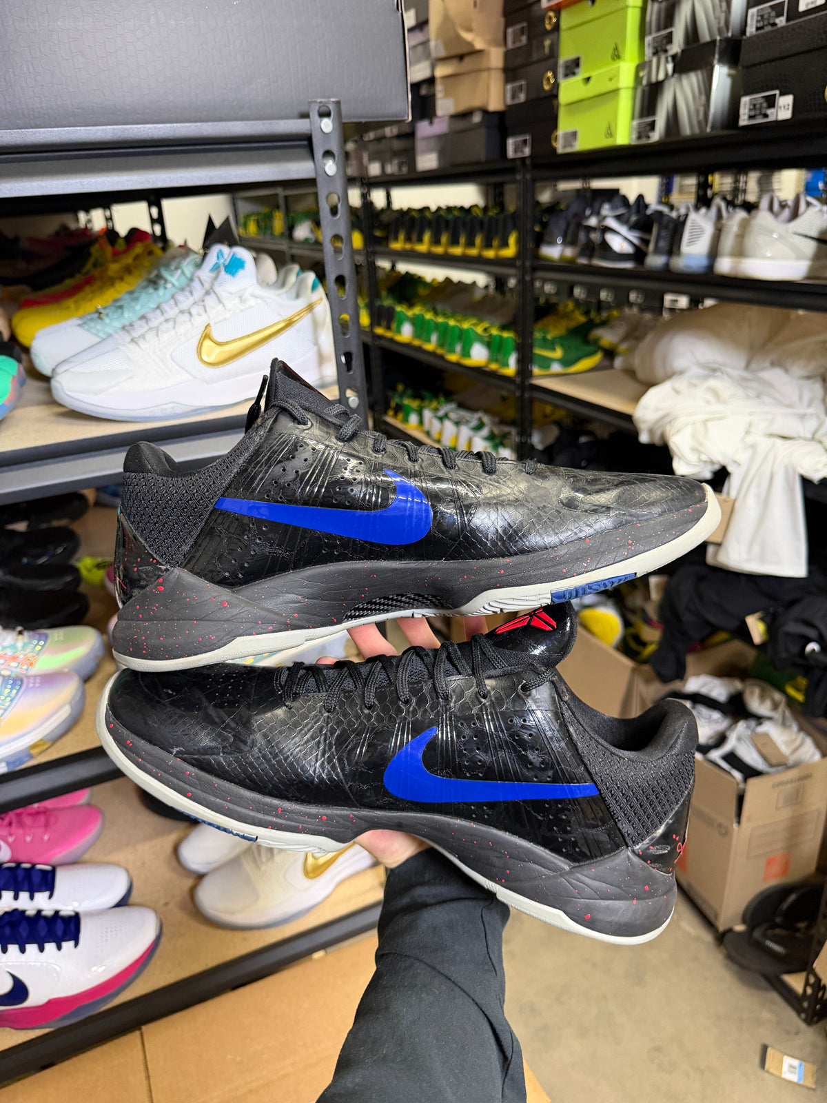 Kobe 5 Tobias Harris PE (15)