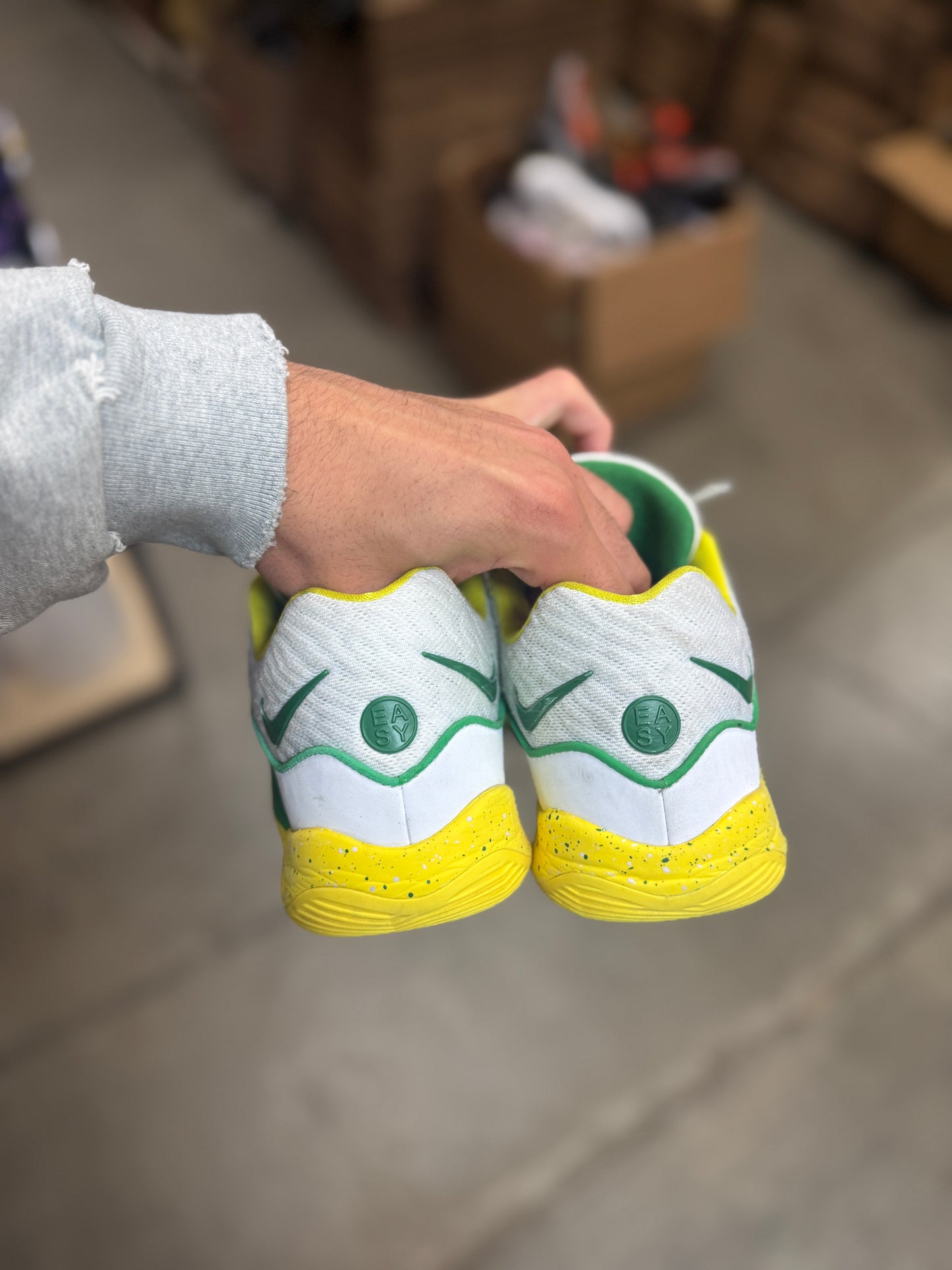 Kd Oregon PE (9)
