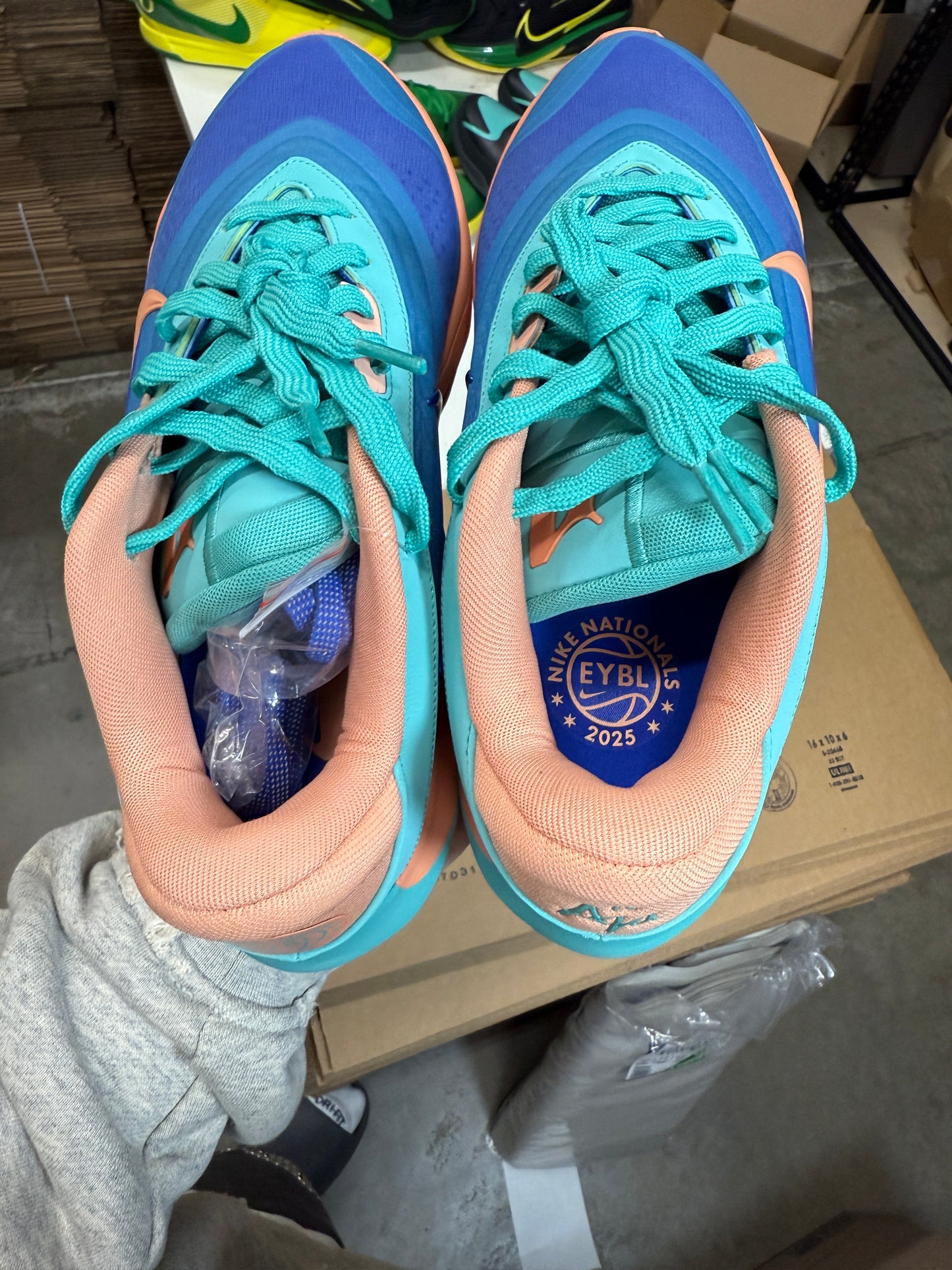 A’One Eybl (8.5)