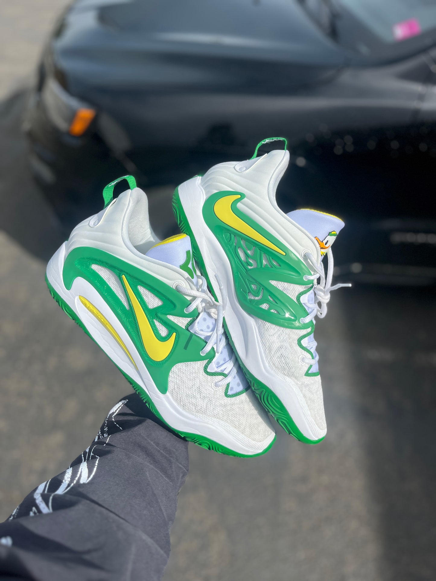 Kd15 Oregon PE (size 15)