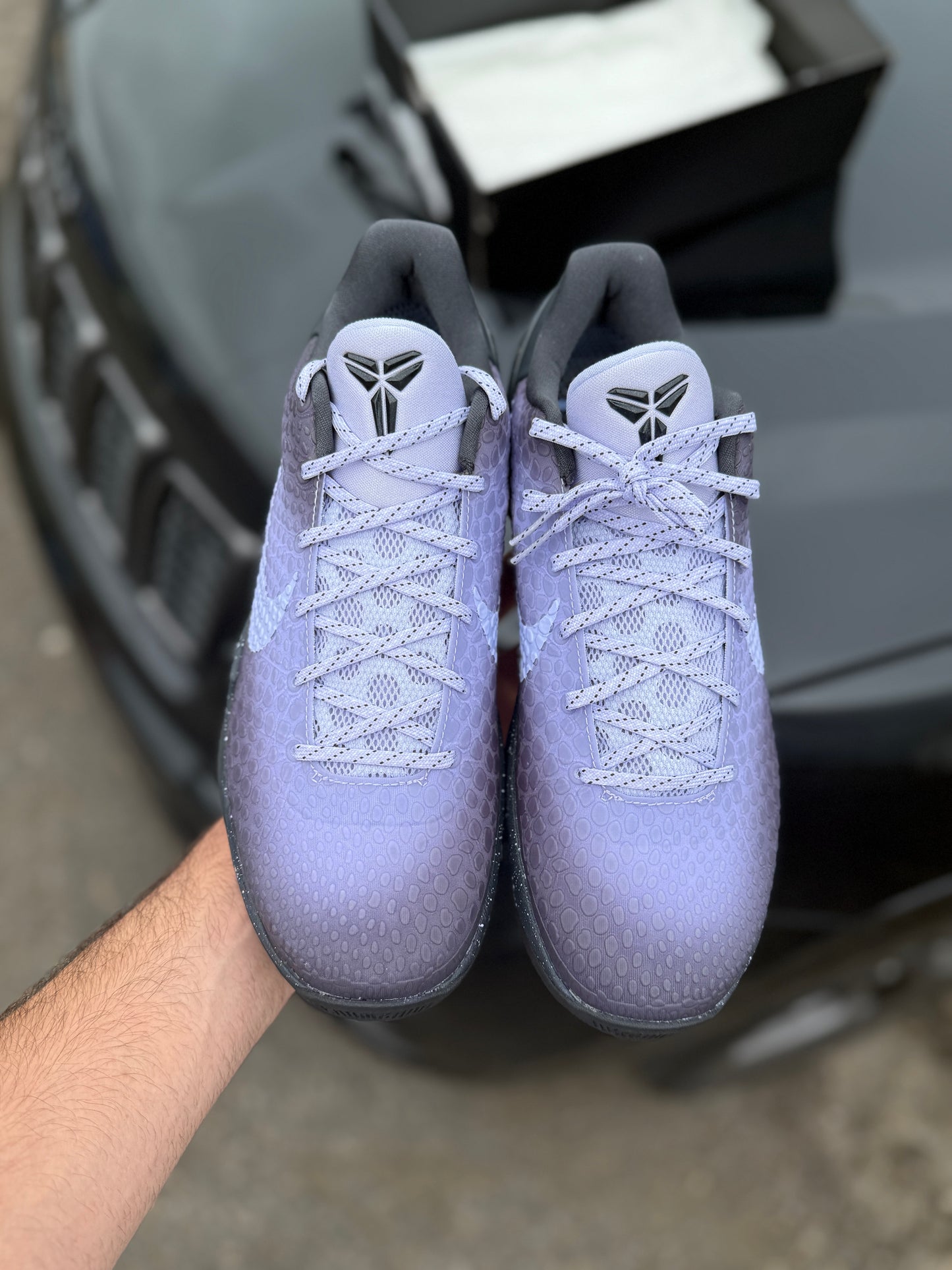 Eybl 6s (size 9.5)