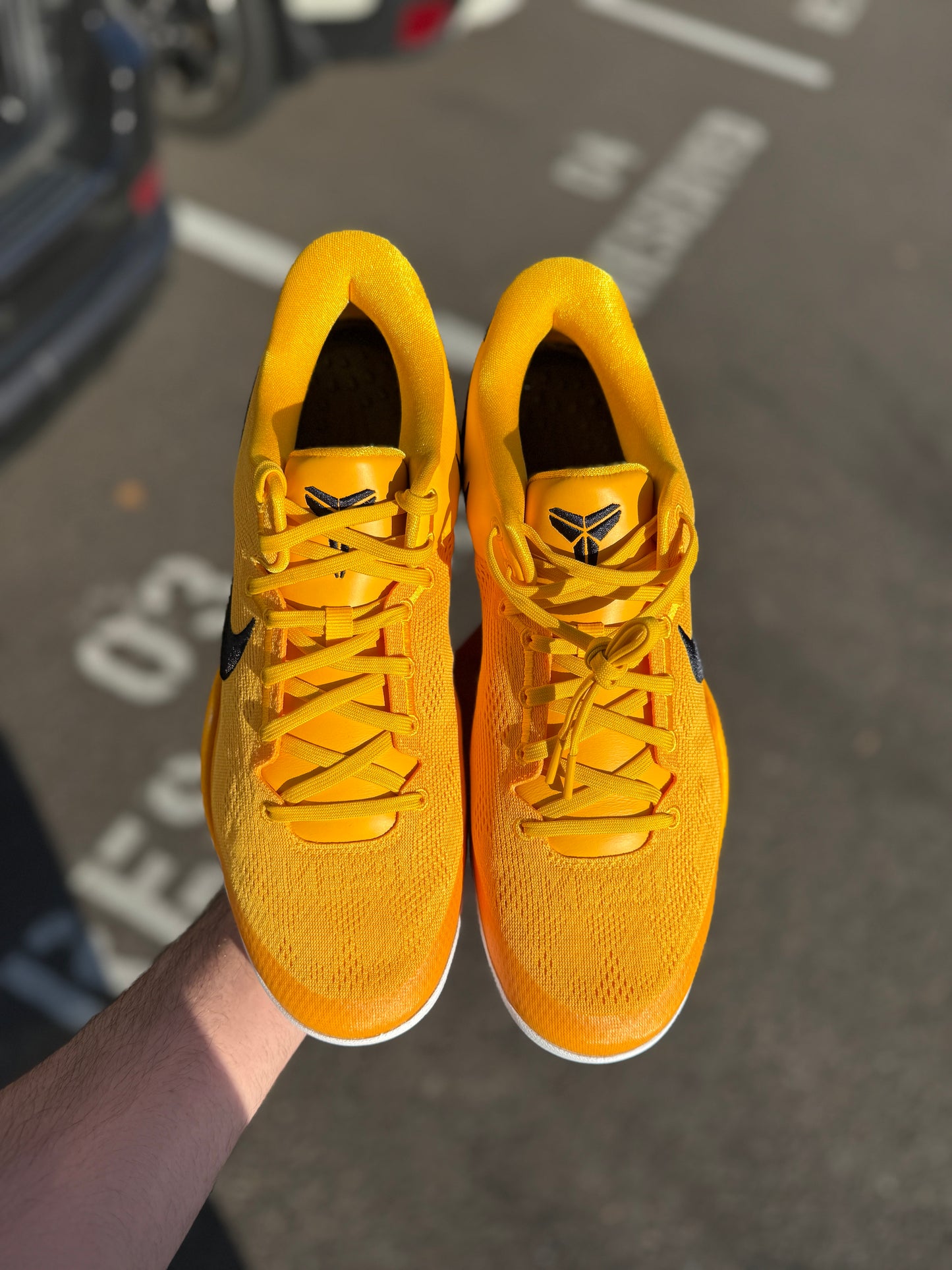 Kobe 8 TB Promo (size 13)