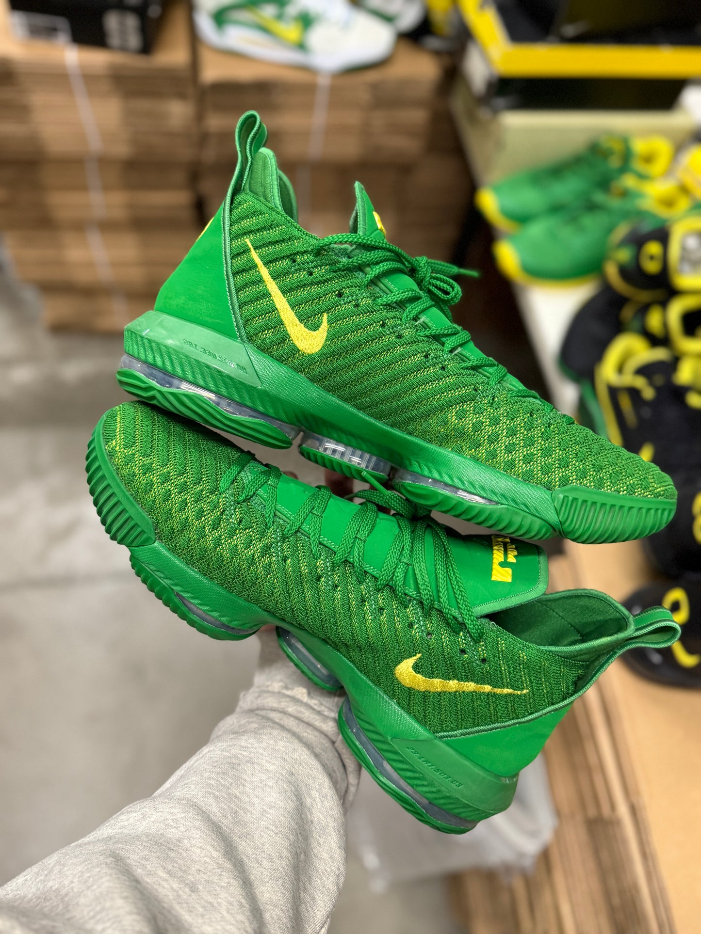 LeBron Oregon PE (size 15)