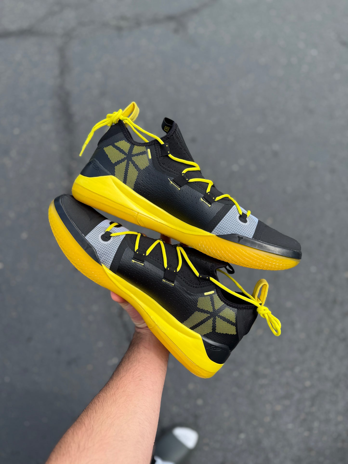 Oregon PE AD (size 15)