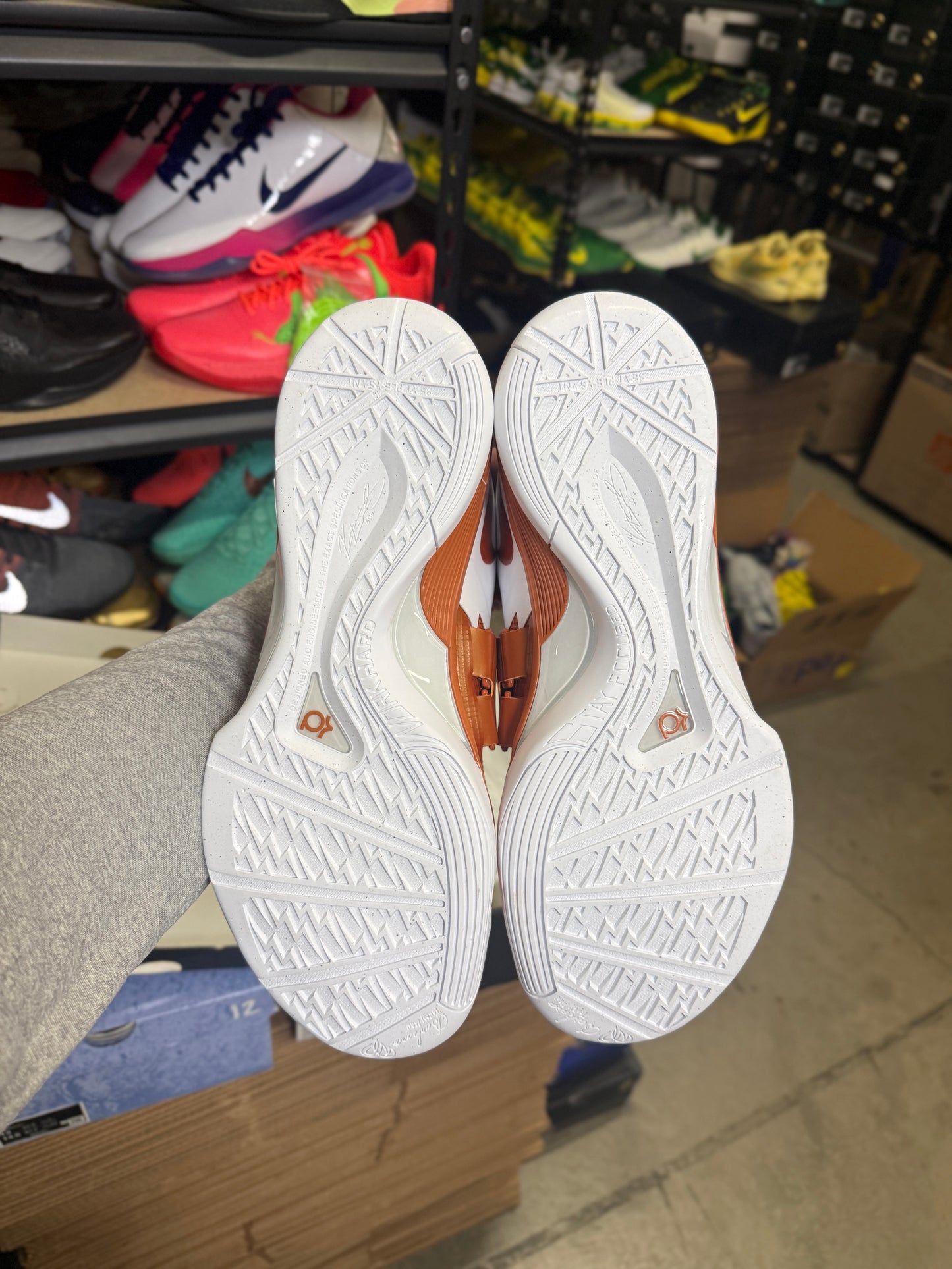 Kd4 Longhorns (13)