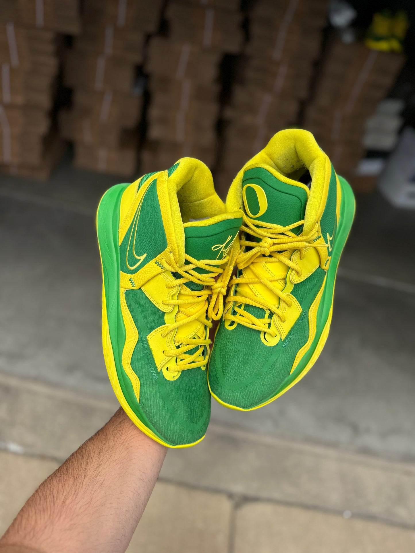 Kyrie Oregon PE (size 13)