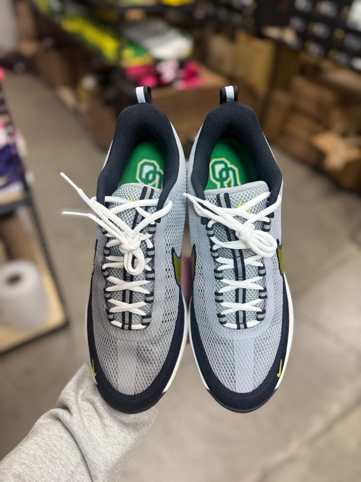 Dbook Oregon PE (11.5,13)