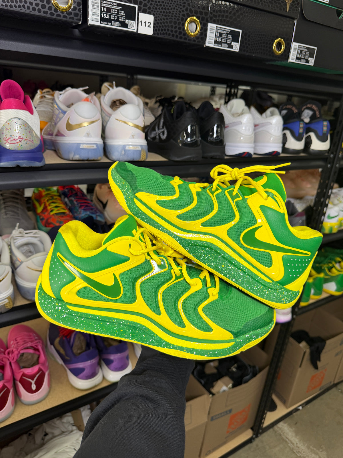 Kd17 Oregon PE (13)