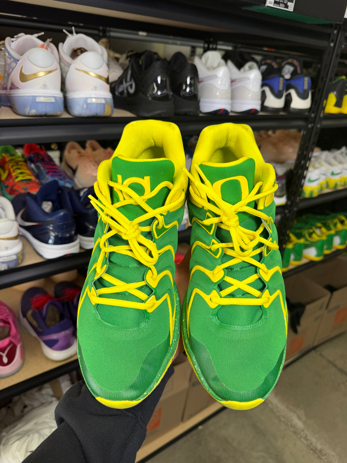 Kd17 Oregon PE (13)