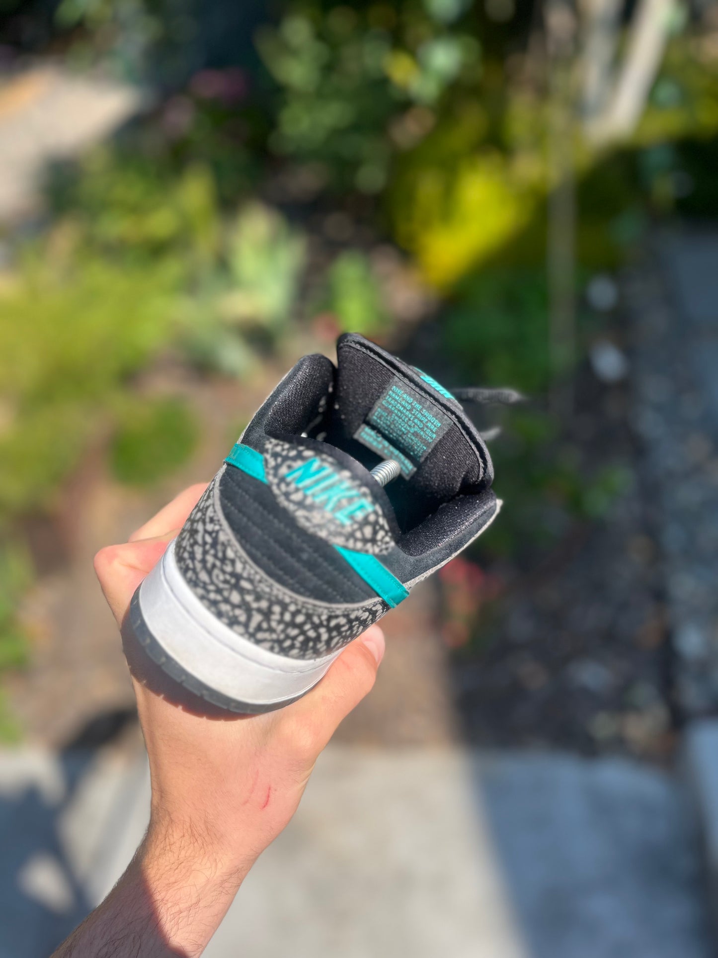 Atmos elephant dunks (size 11)