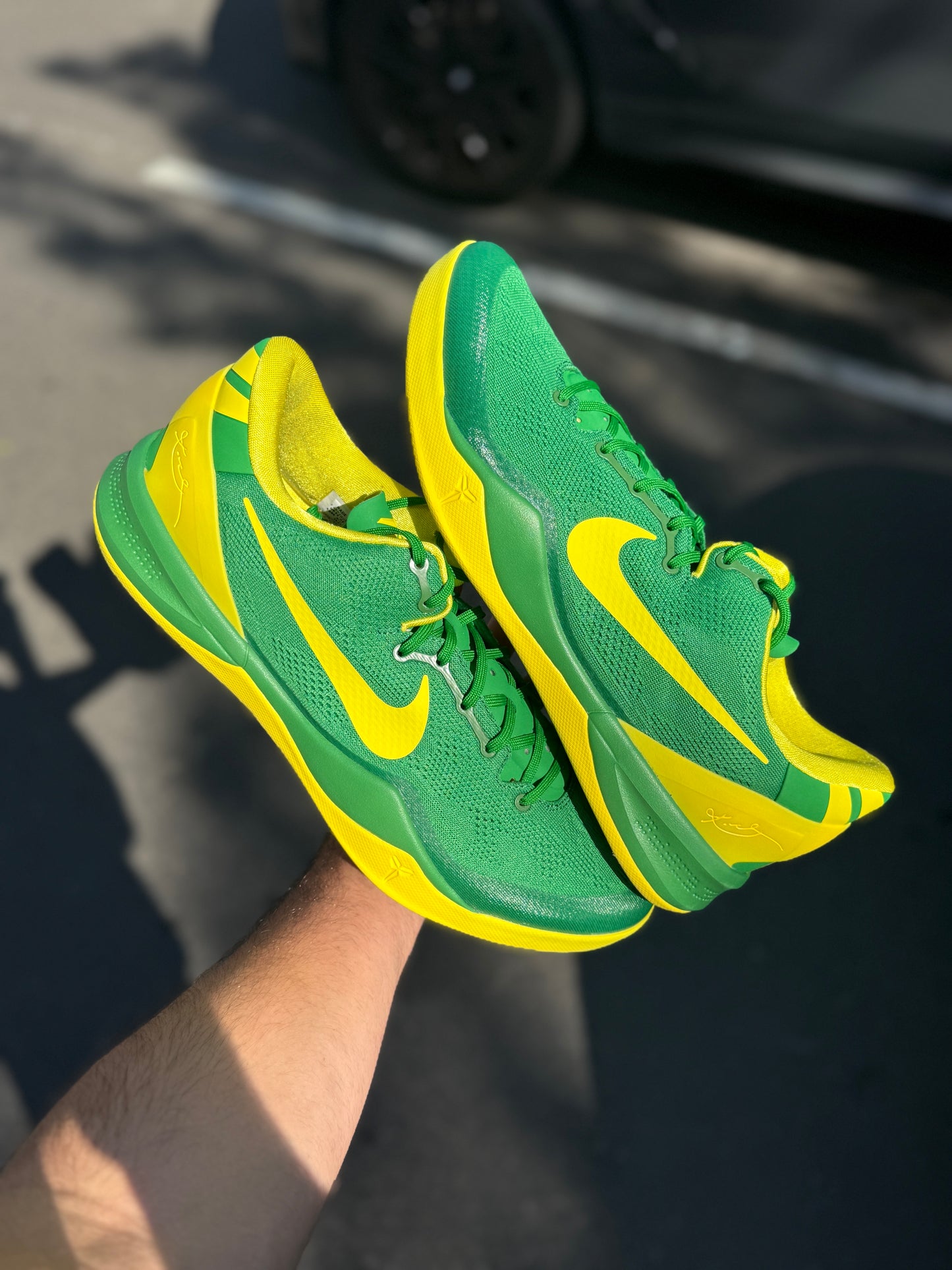 Oregon 8 PE (7.5,9.5,11.5,13)