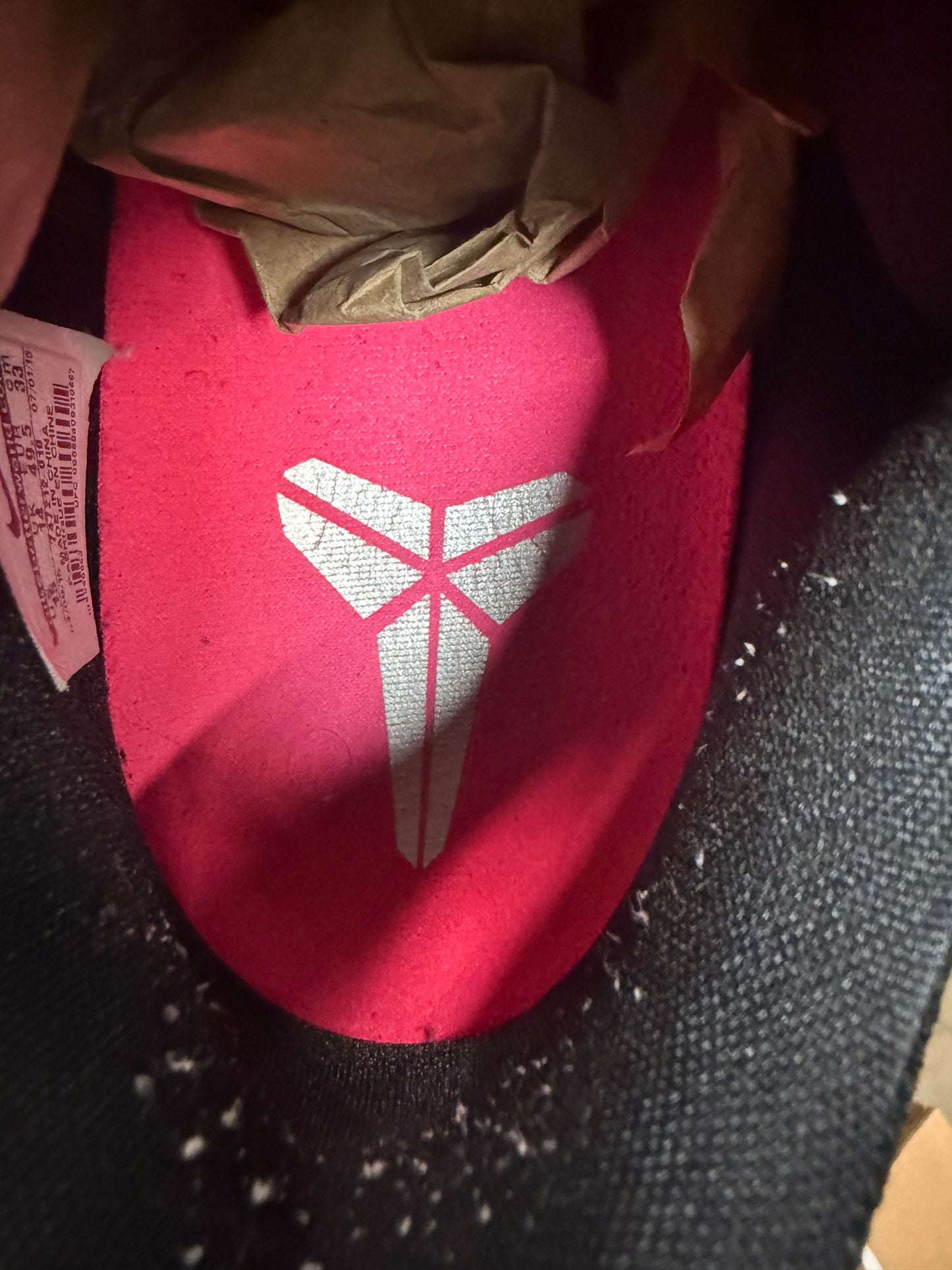 Kobe 10 Mambacurial (15)