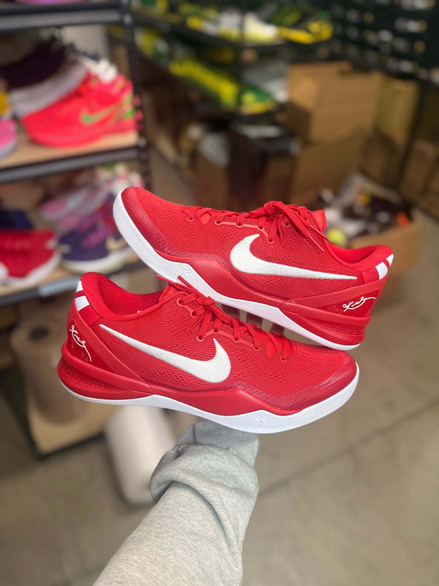 Kobe 8 (11.5)