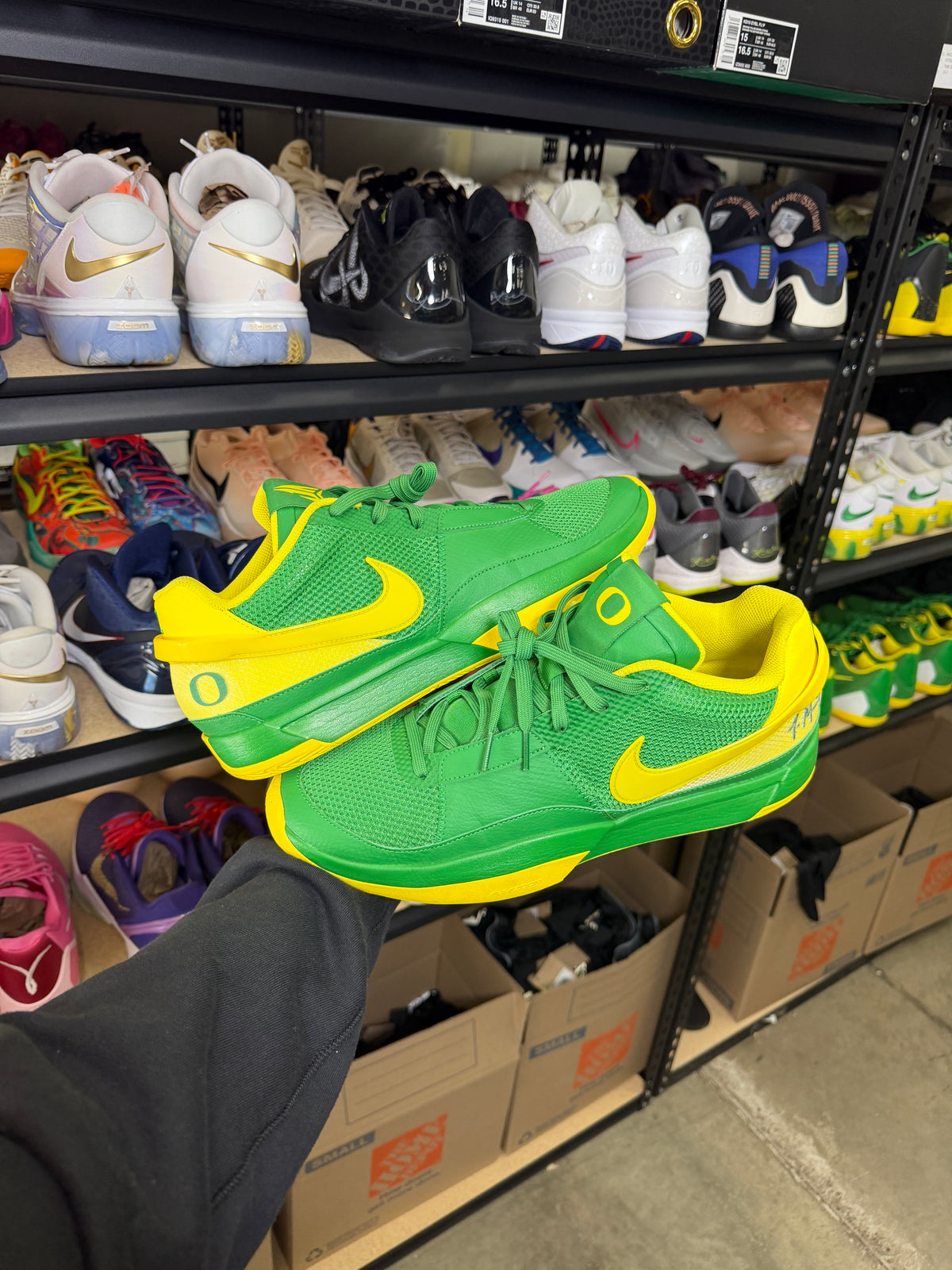 Ja Oregon PE (13)