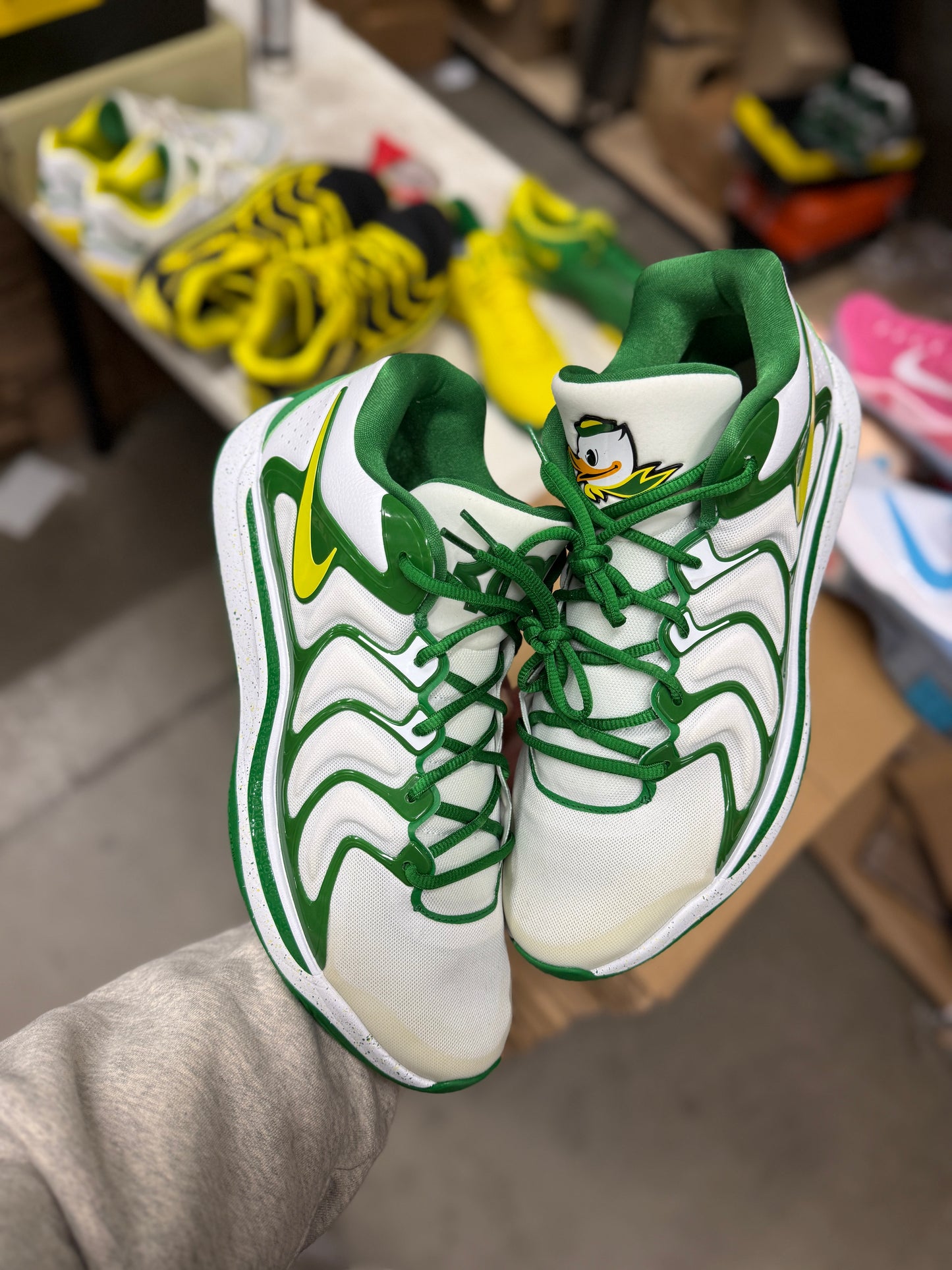 Kd17 Oregon PE (size 15)