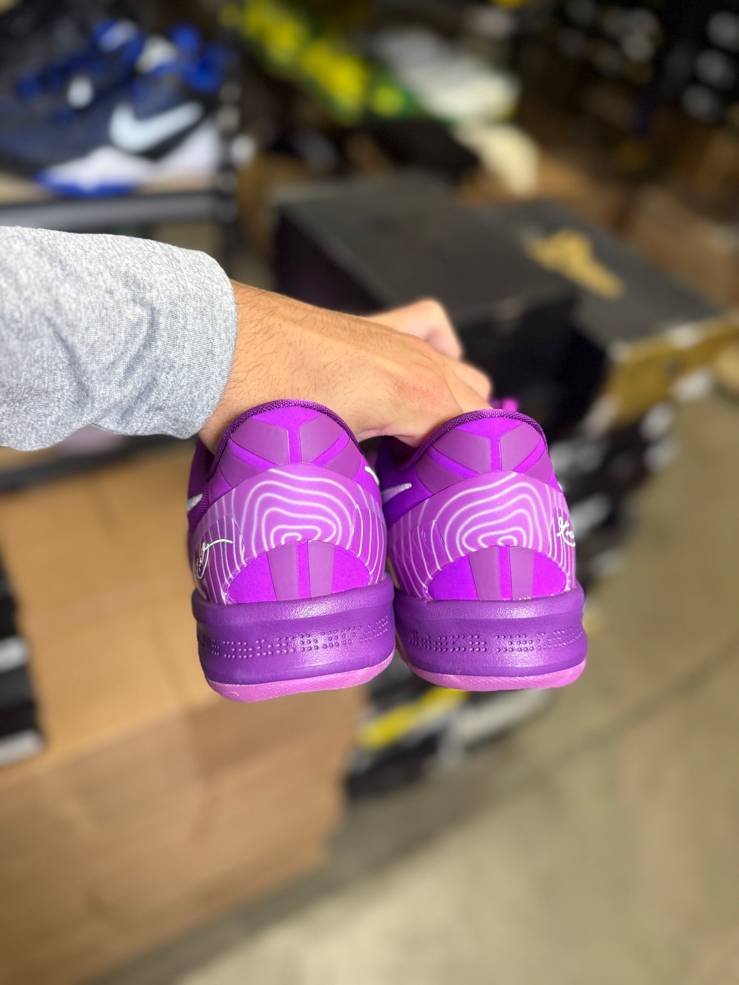 Kobe 8 Eybl (10)