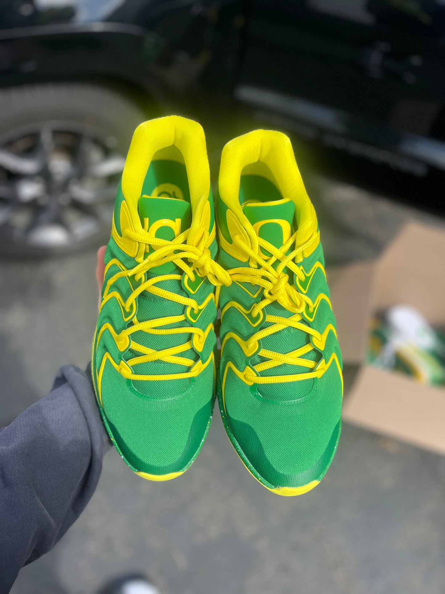 Kd17 Oregon PE (size 14)