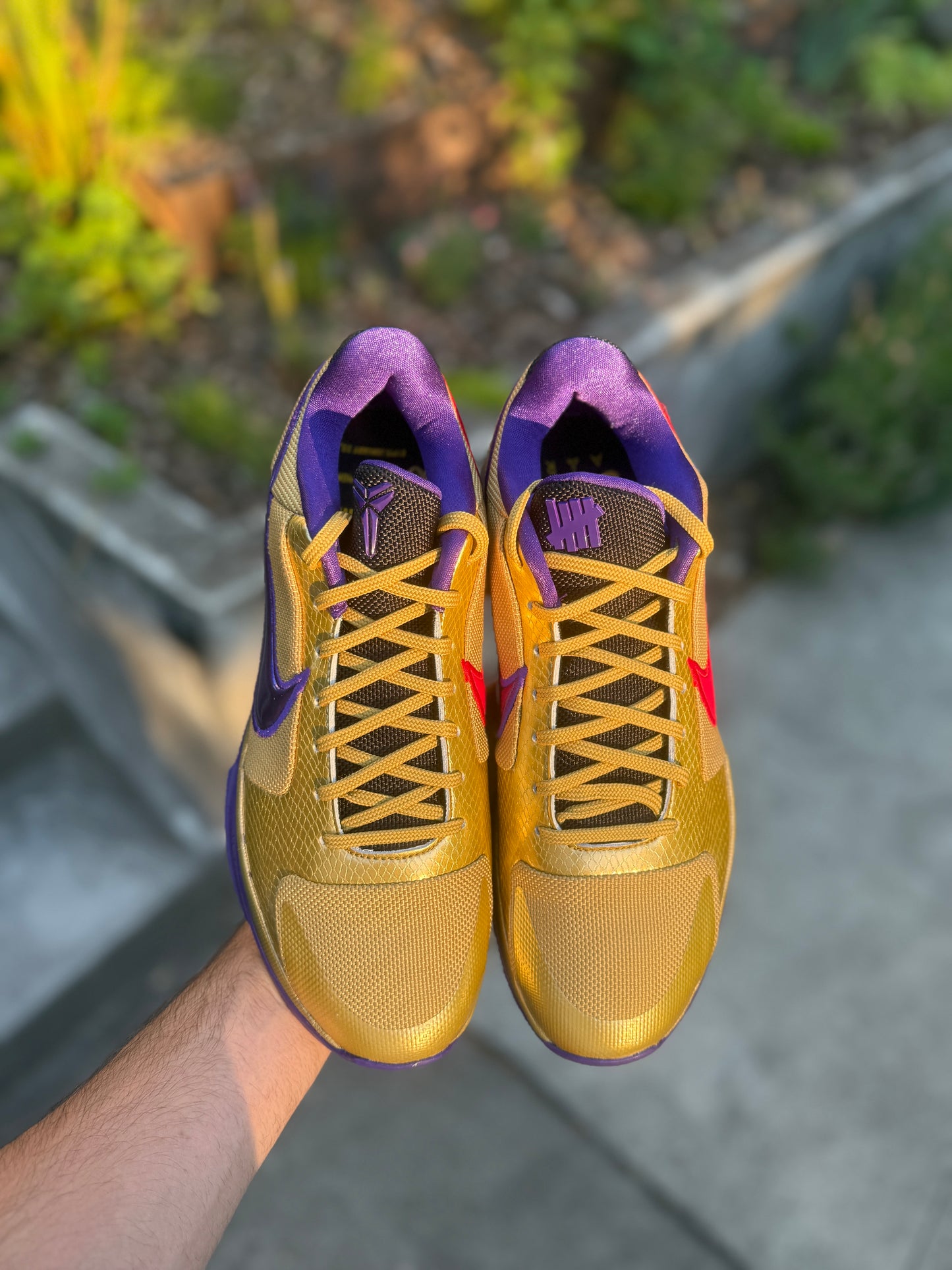Undefeated 5 (11,11.5)