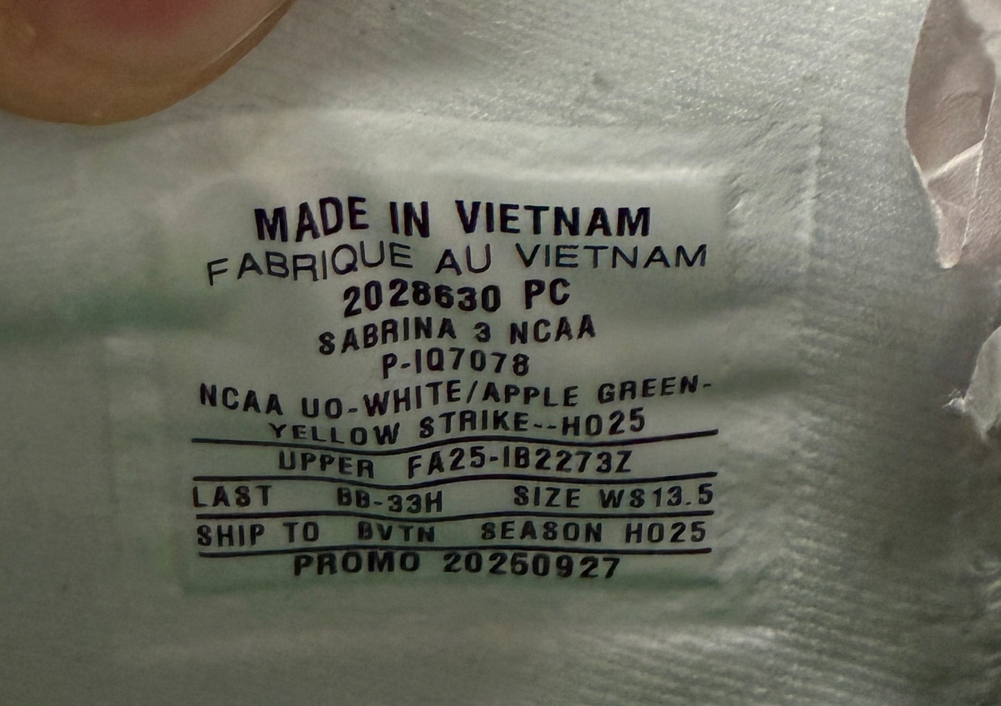 Sabrina 3 Oregon PE (12)