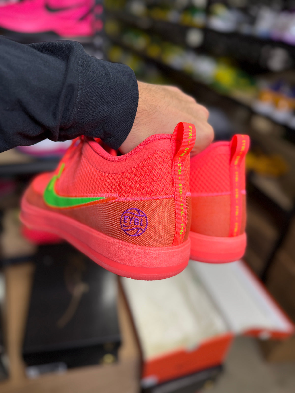 Dbook 2 Eybl