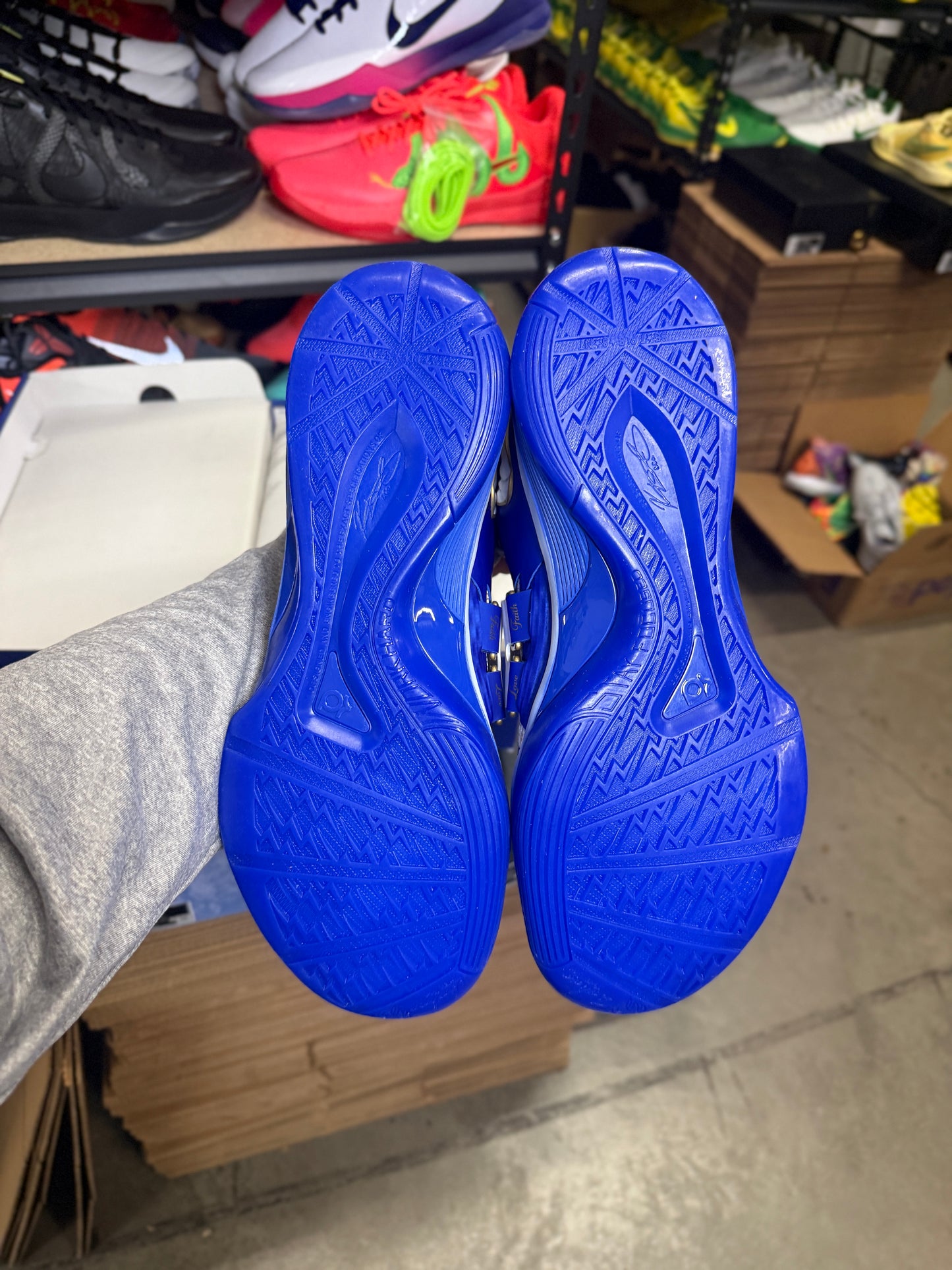 Kd4 MVP (13)