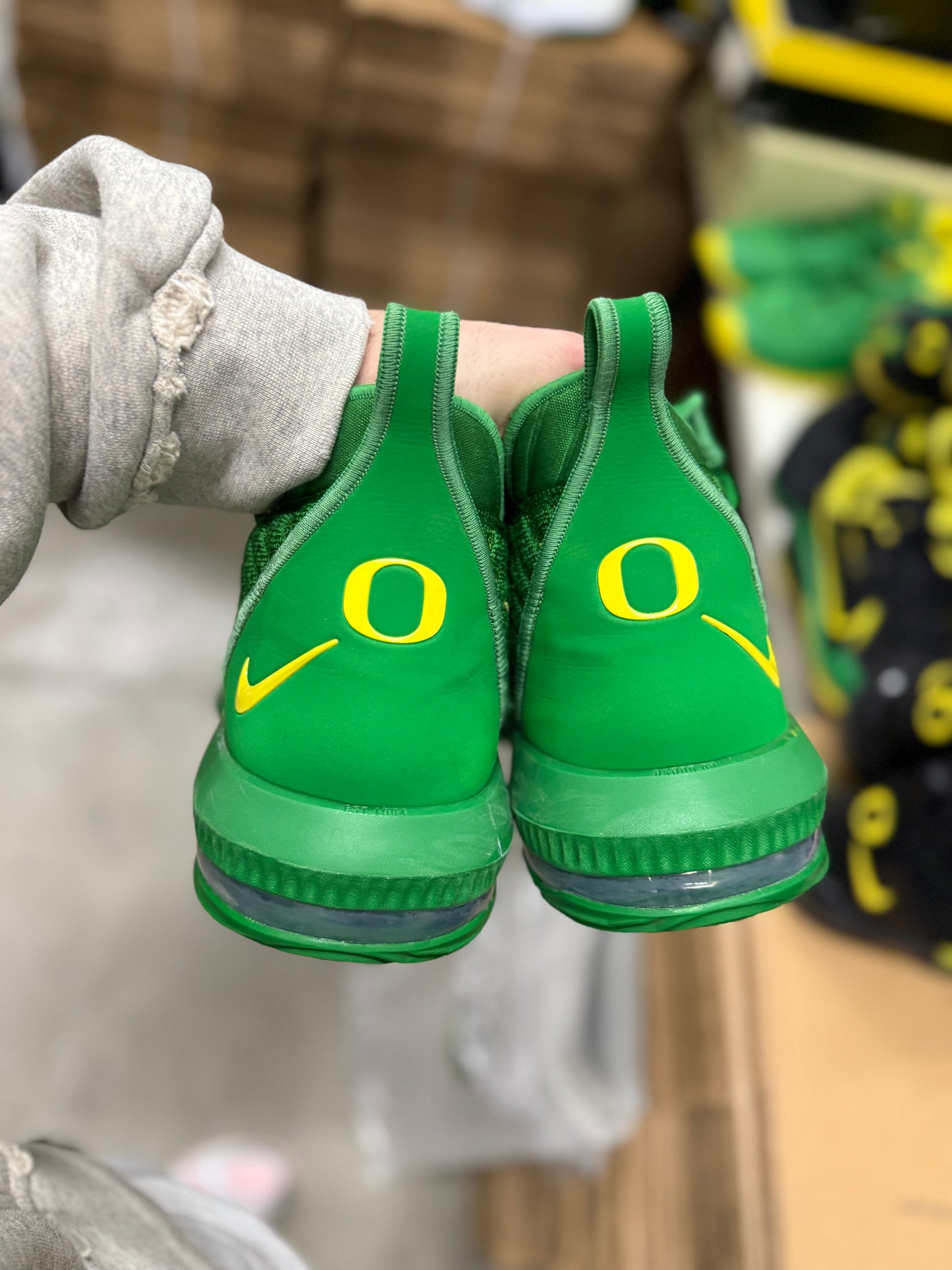 LeBron Oregon PE (size 15)