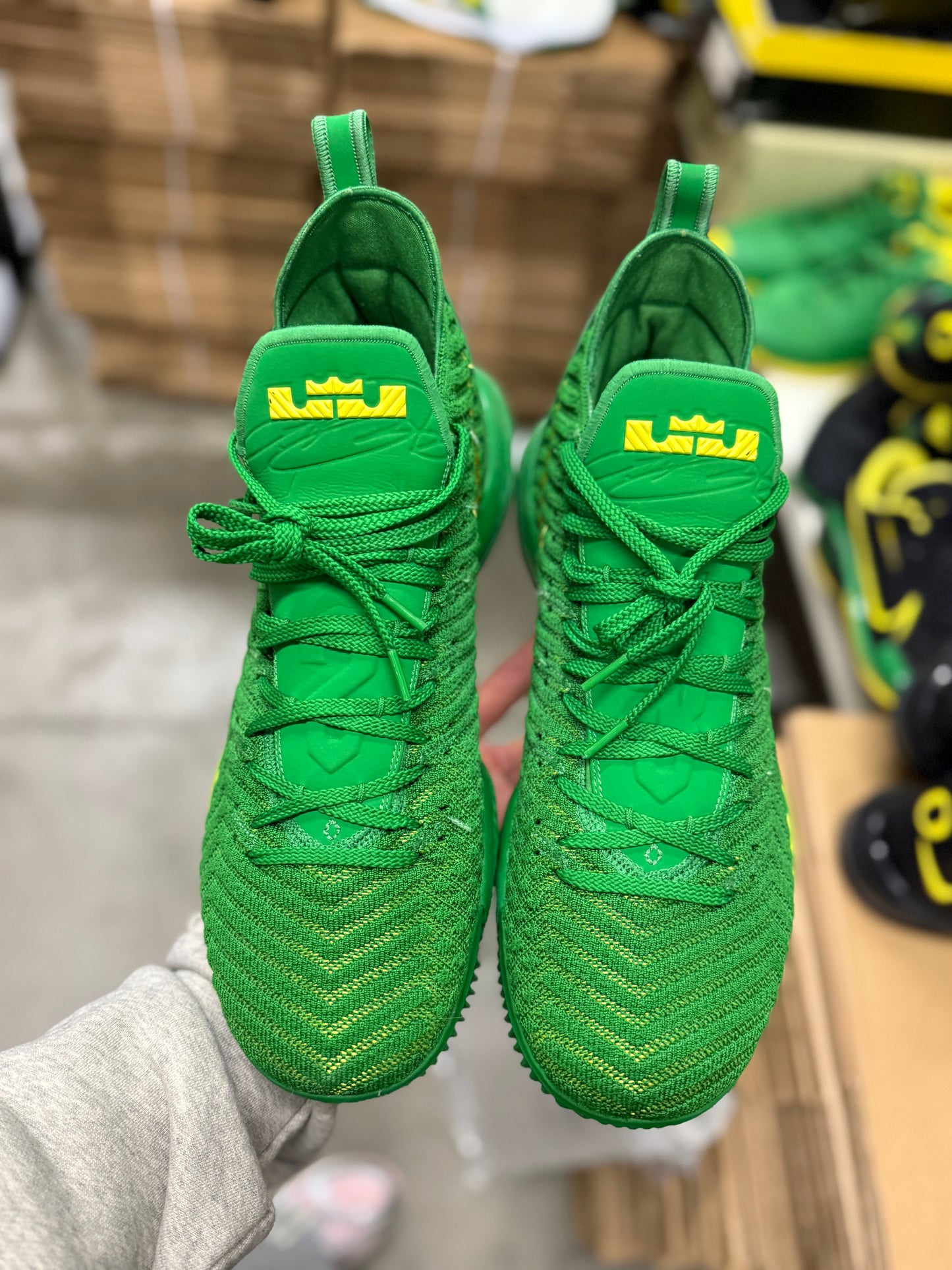 LeBron Oregon PE (size 15)